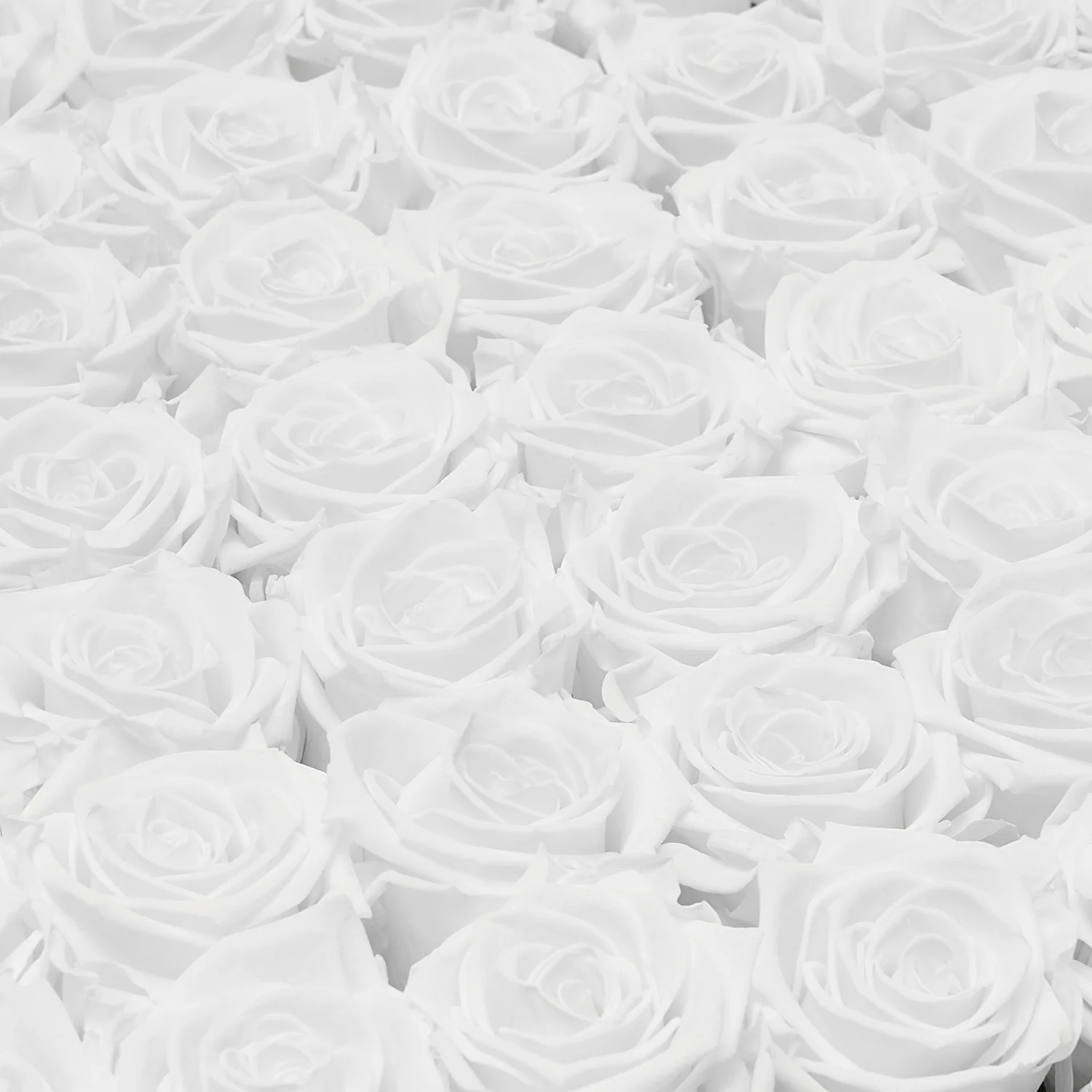 Le Duo Magnifique - Mearch