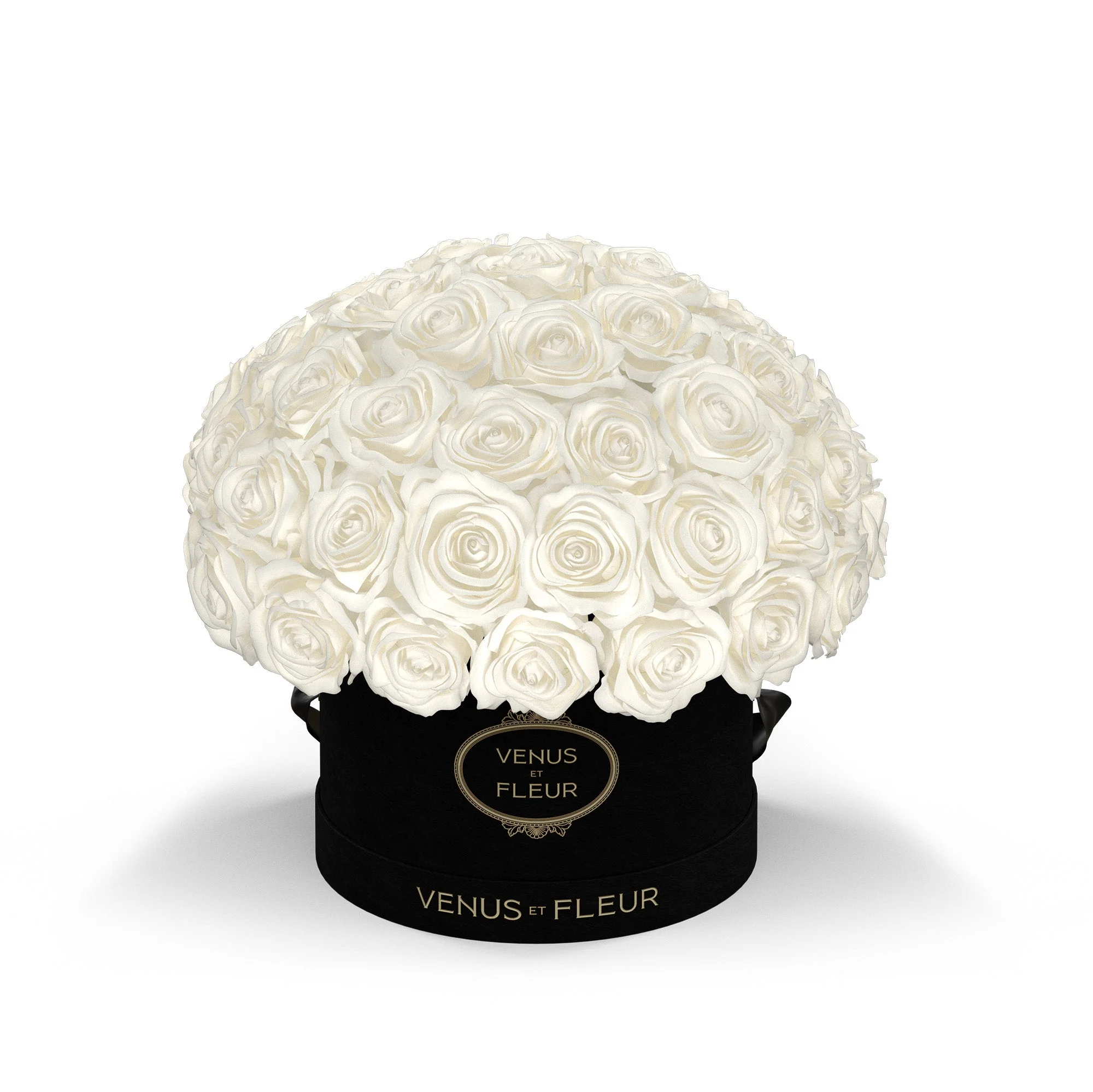 Small Le Plein - Mearch