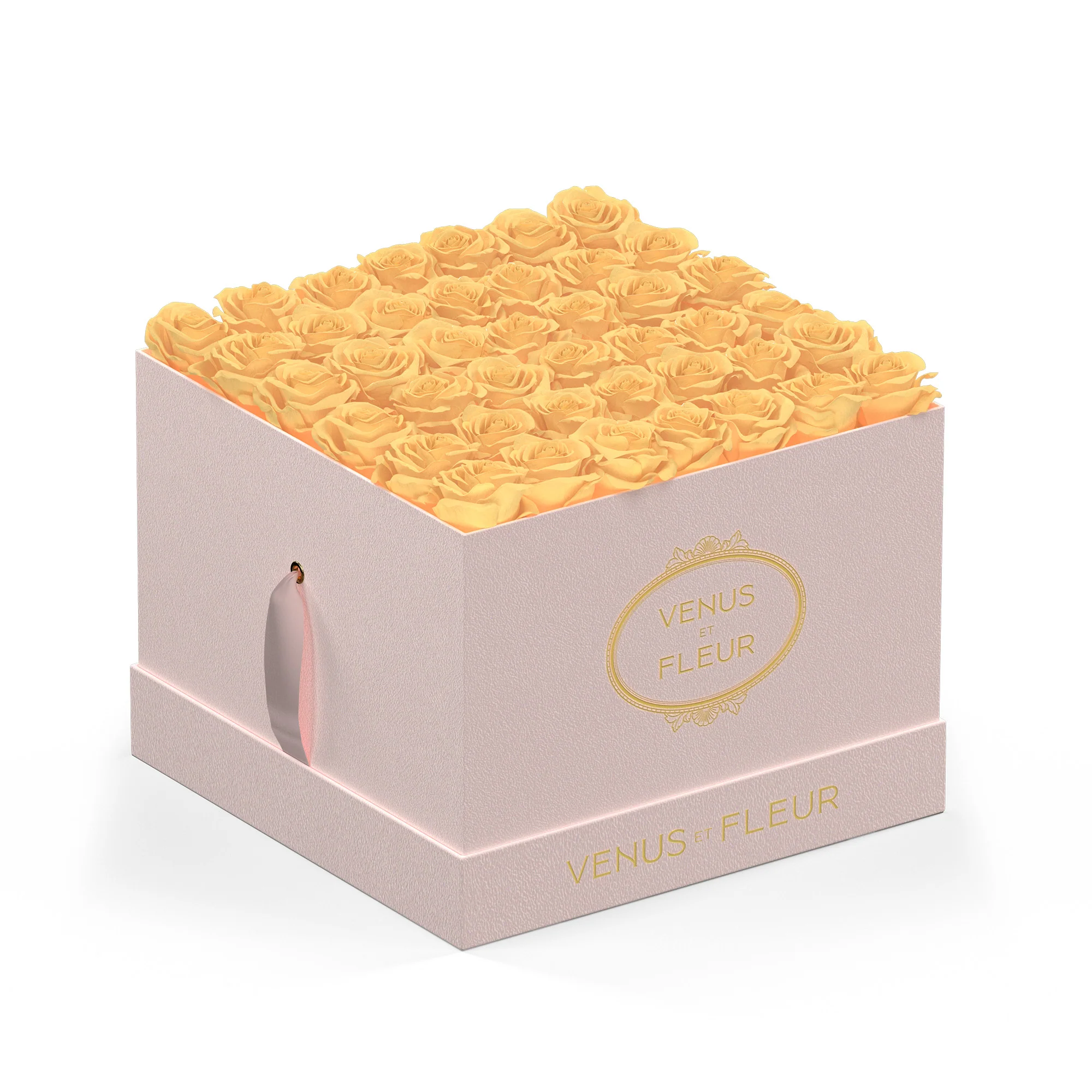 Large Square - Mearch