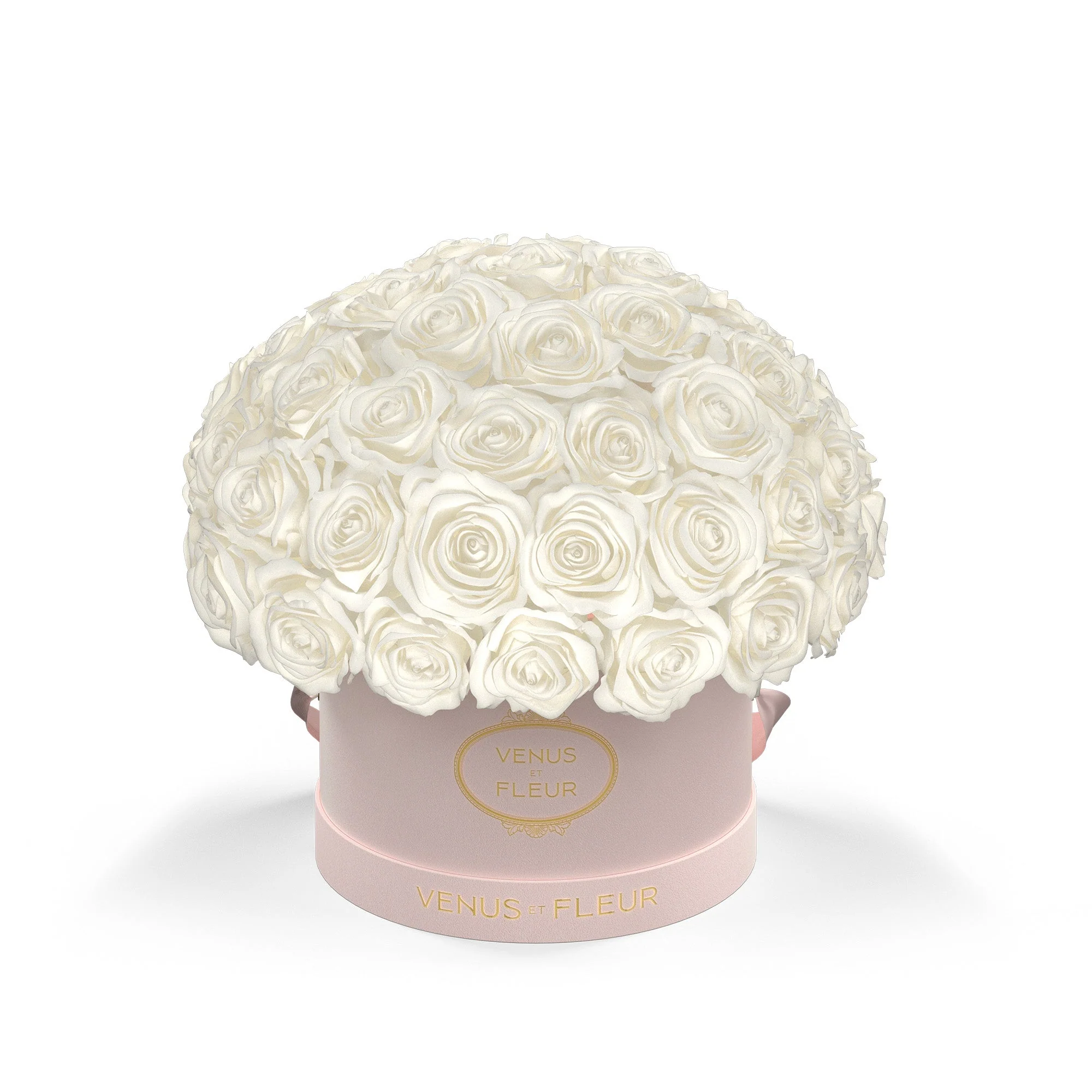 Small Le Plein - Mearch