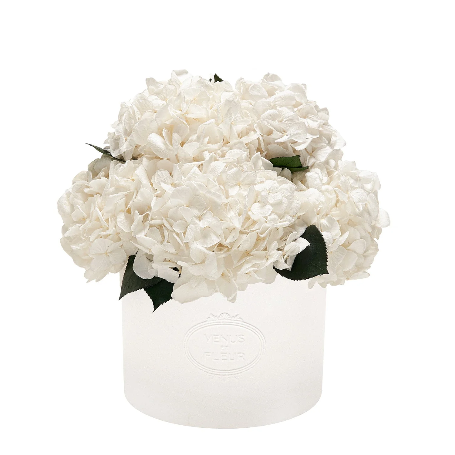 Thalia Porcelain Vase - Mearch