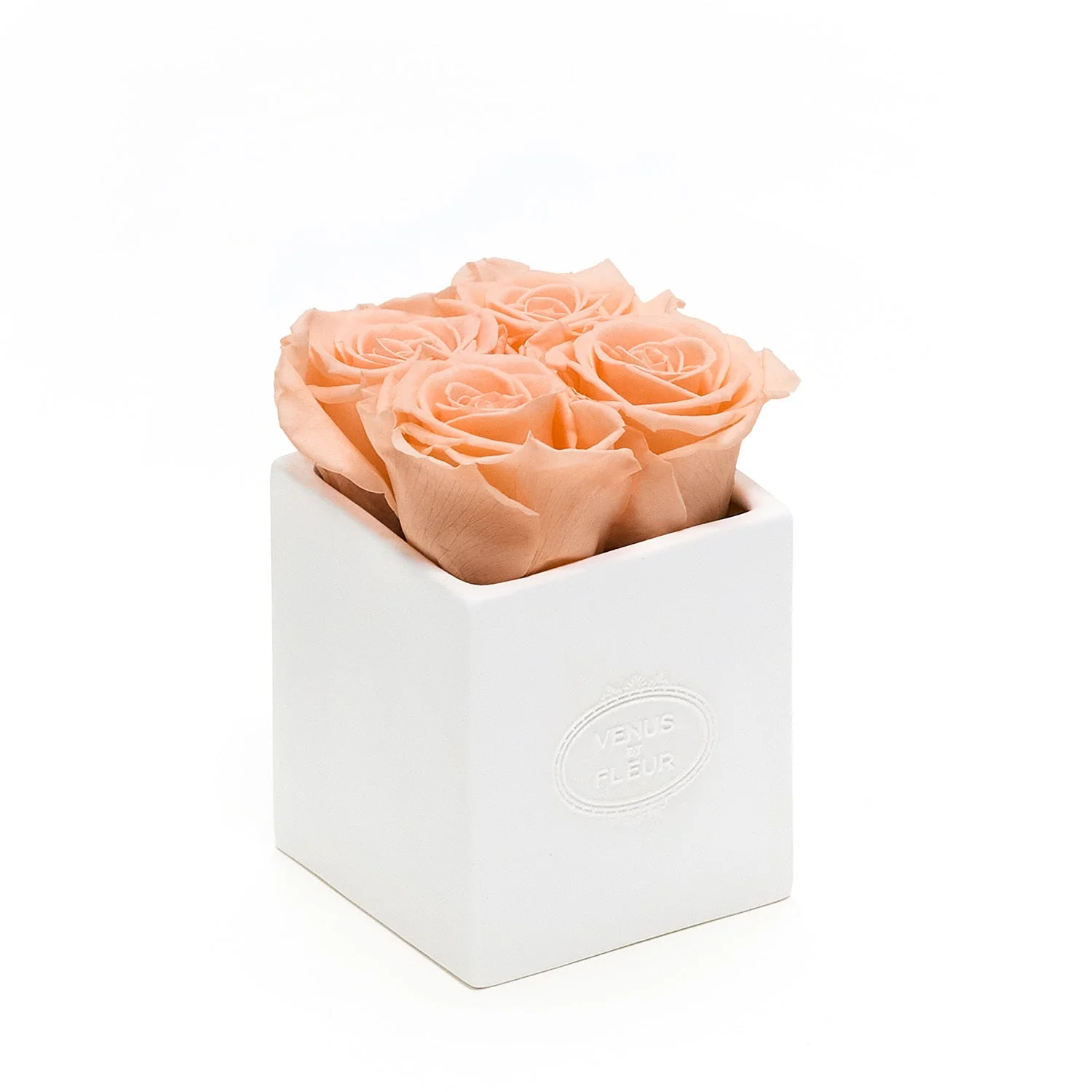 Sylvie Porcelain Vase - Mearch