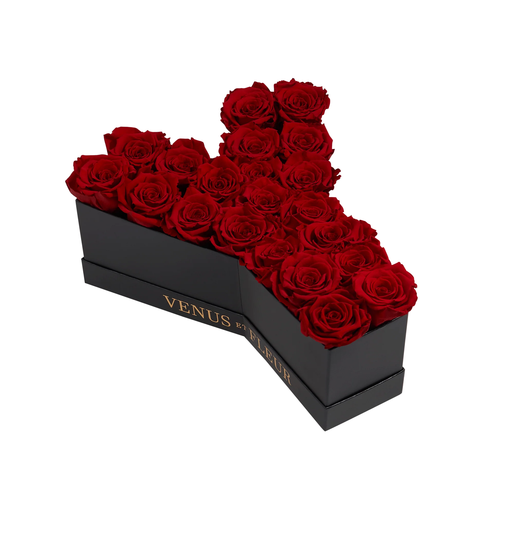 Le Grand Letter - Y - Mearch