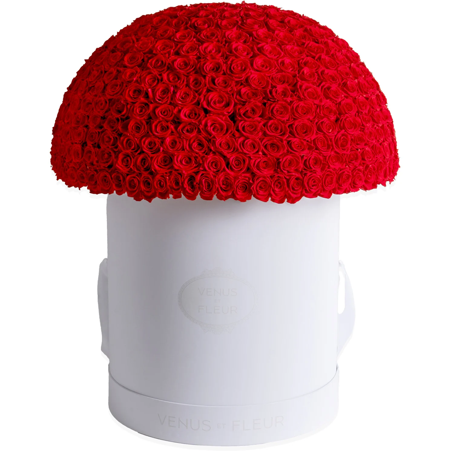 Grandiose Le Plein - Mearch