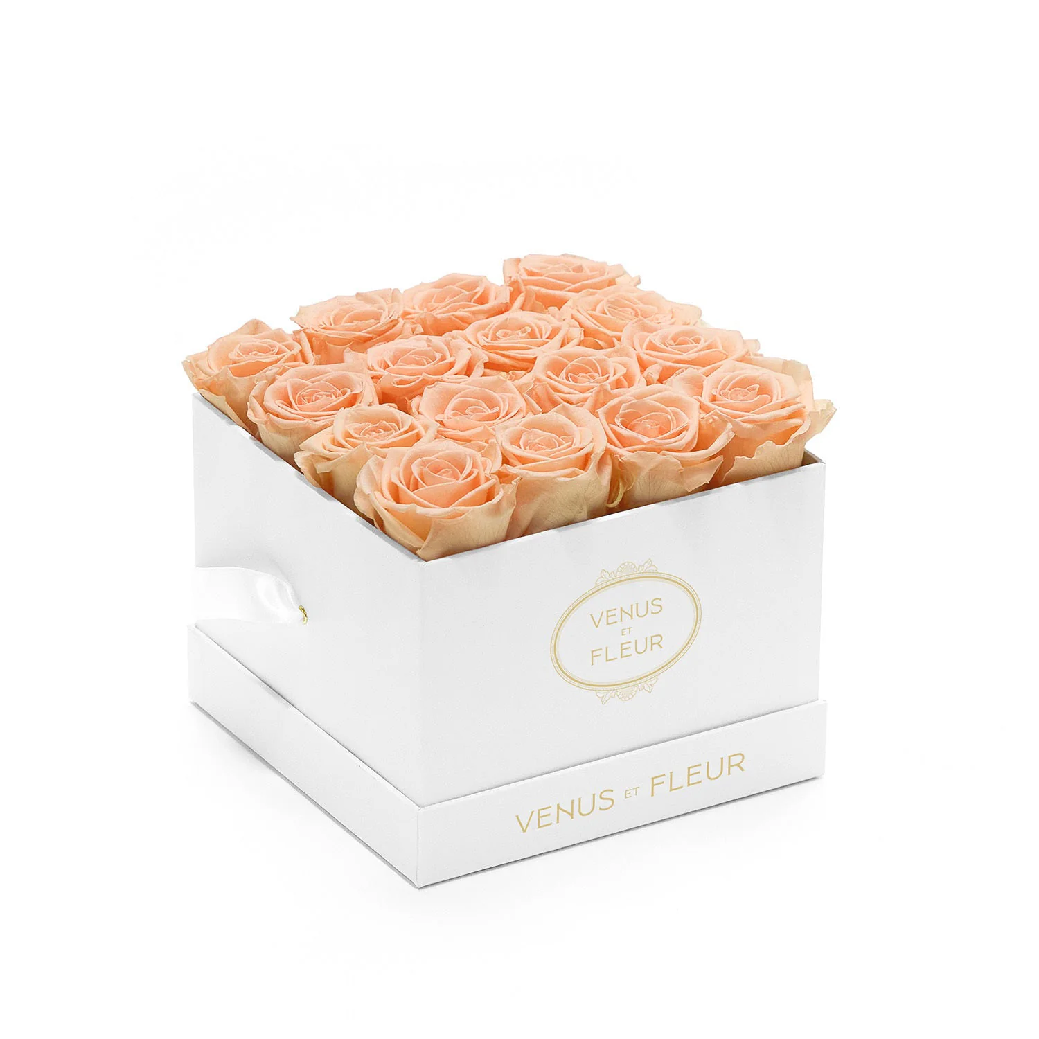 Small Square - Mearch