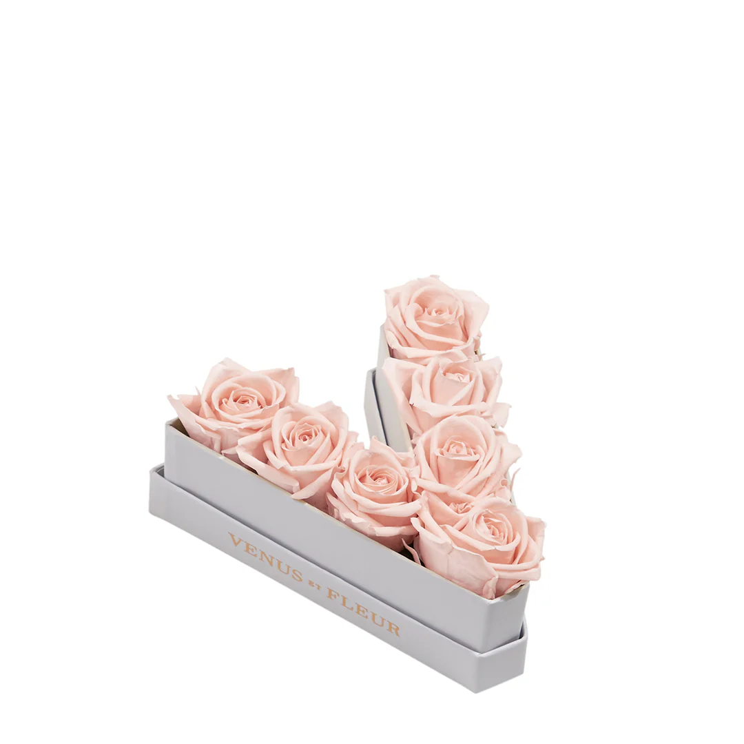 Le Mini Letter - V - Mearch