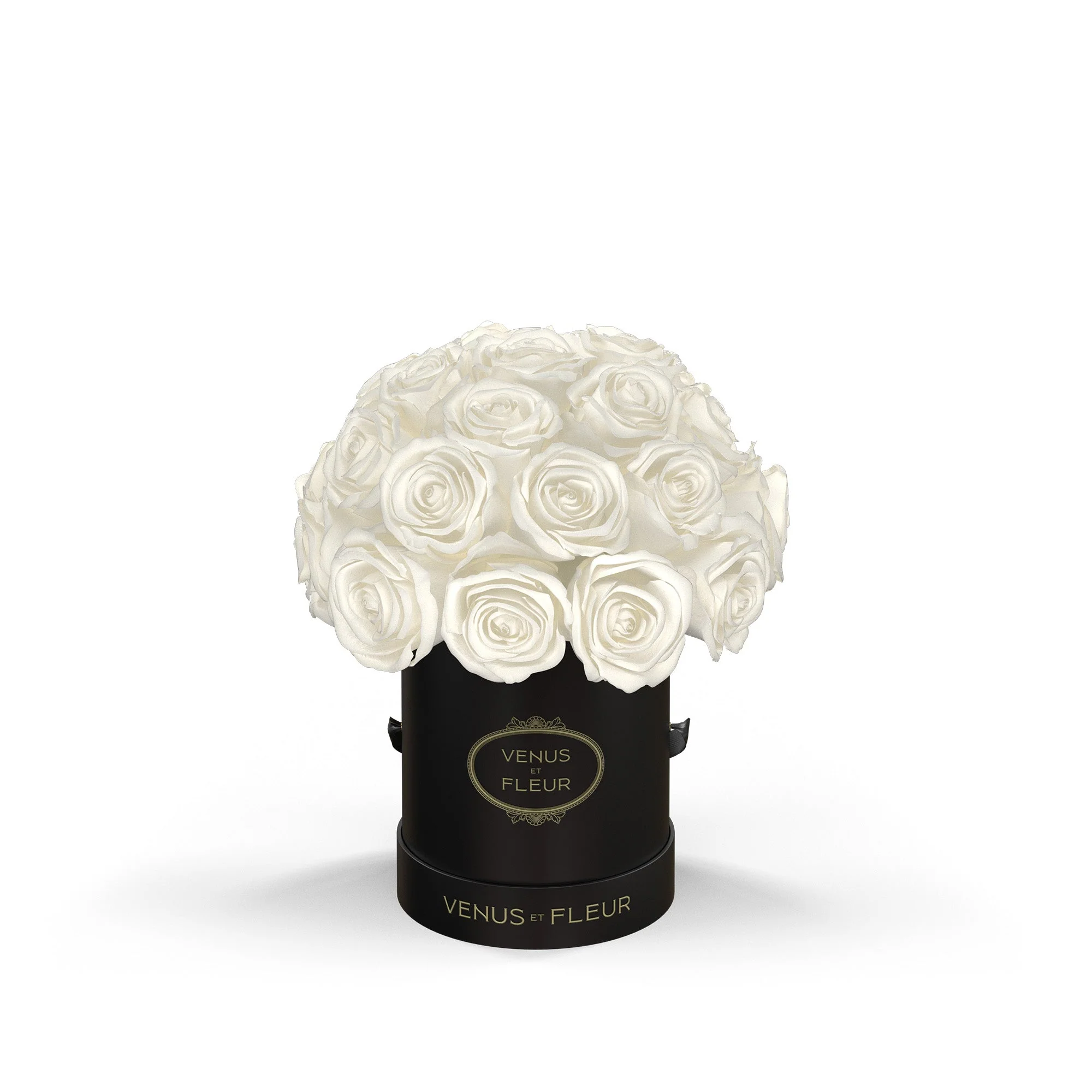 Mini Le Plein - Mearch