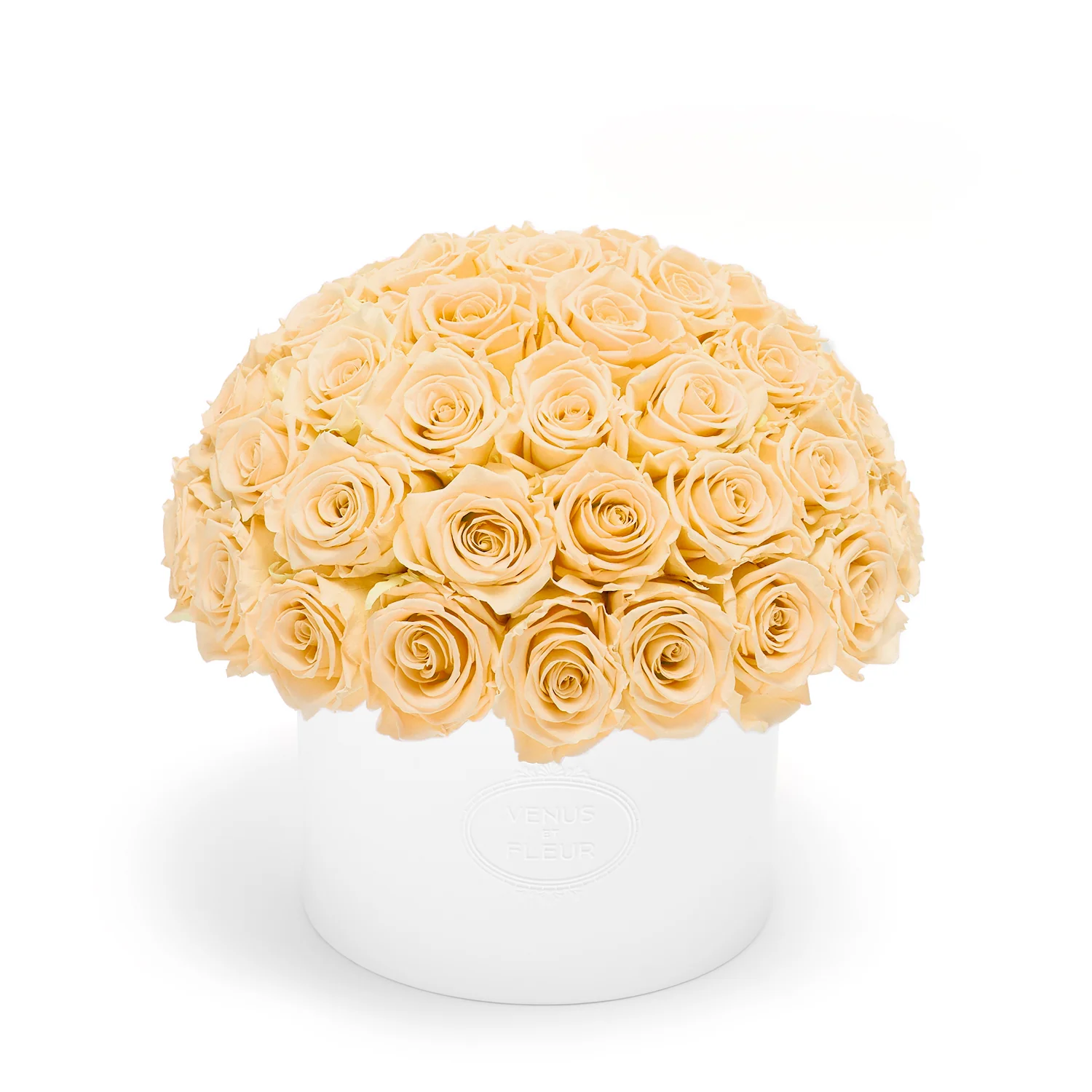 Thalia Porcelain Vase - Mearch