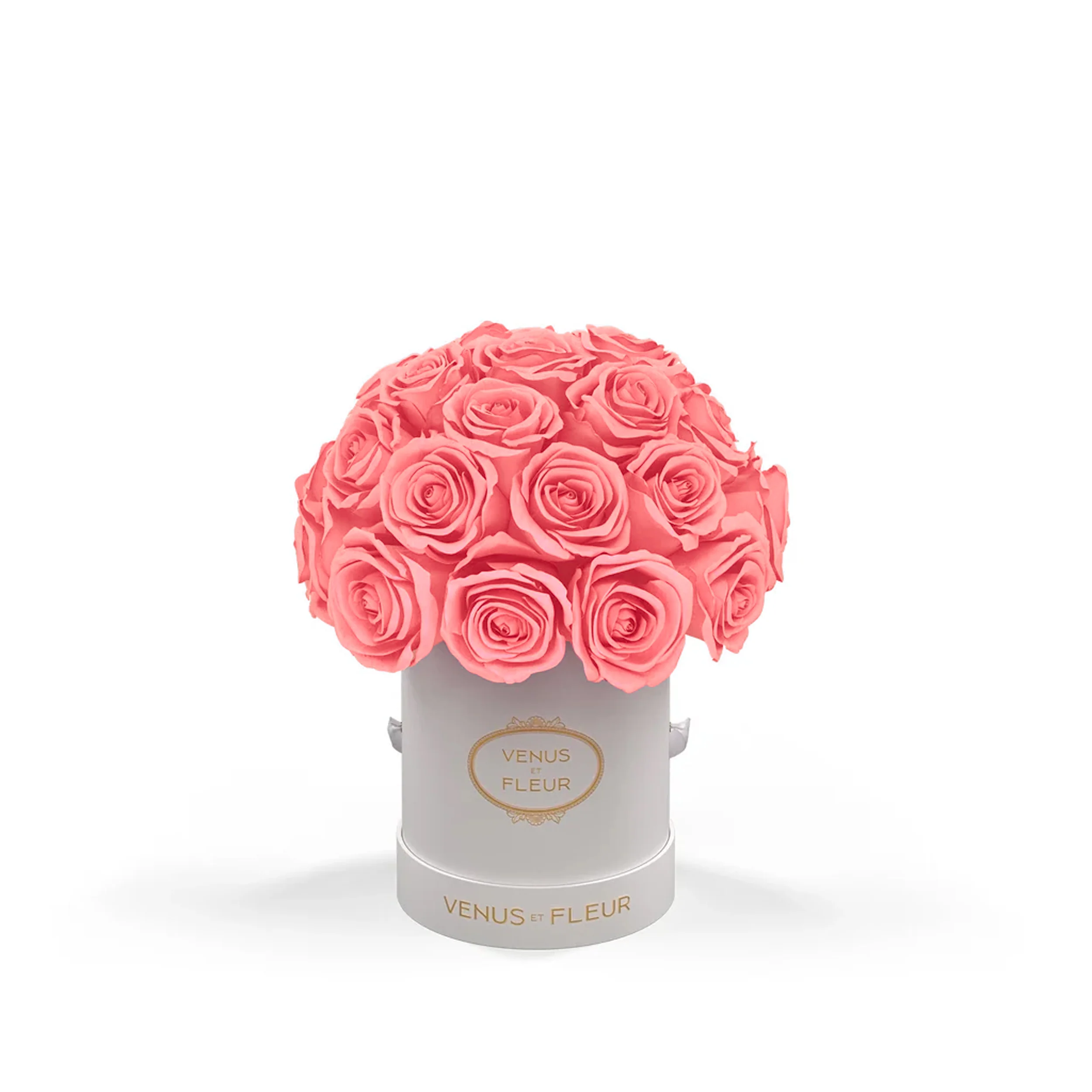 Mini Le Plein - Mearch