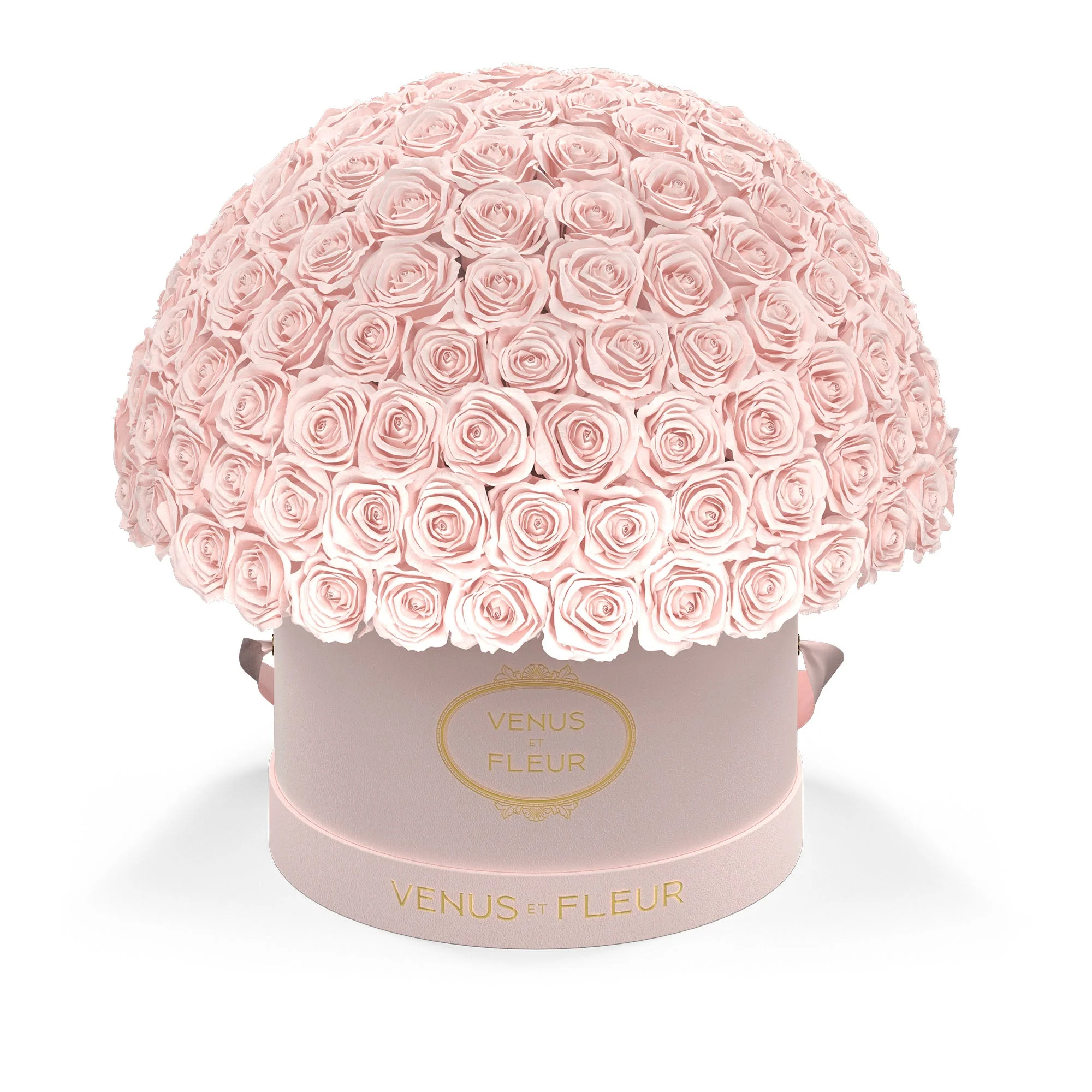 Large Le Plein - Mearch