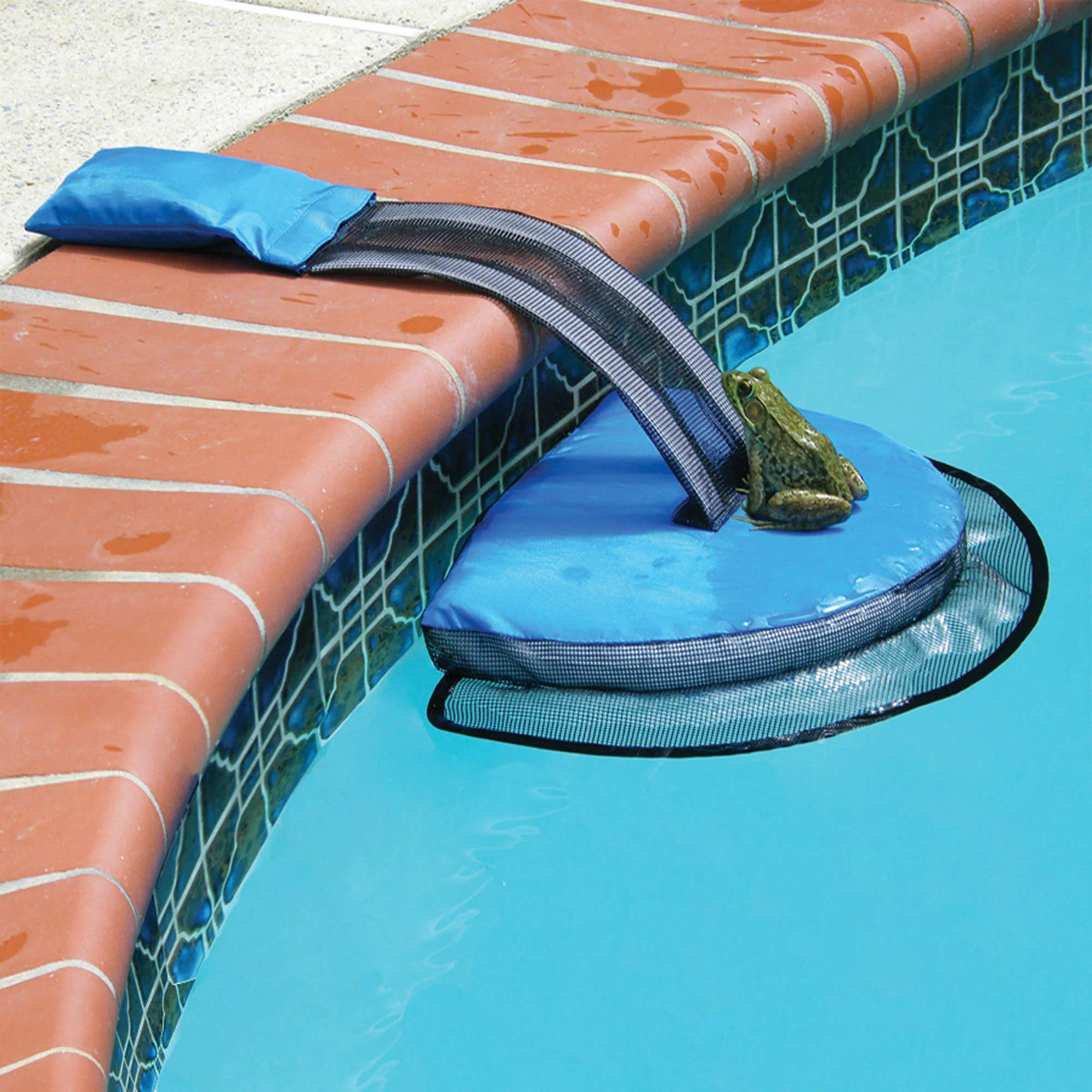 Pool Critter Escape Ramp