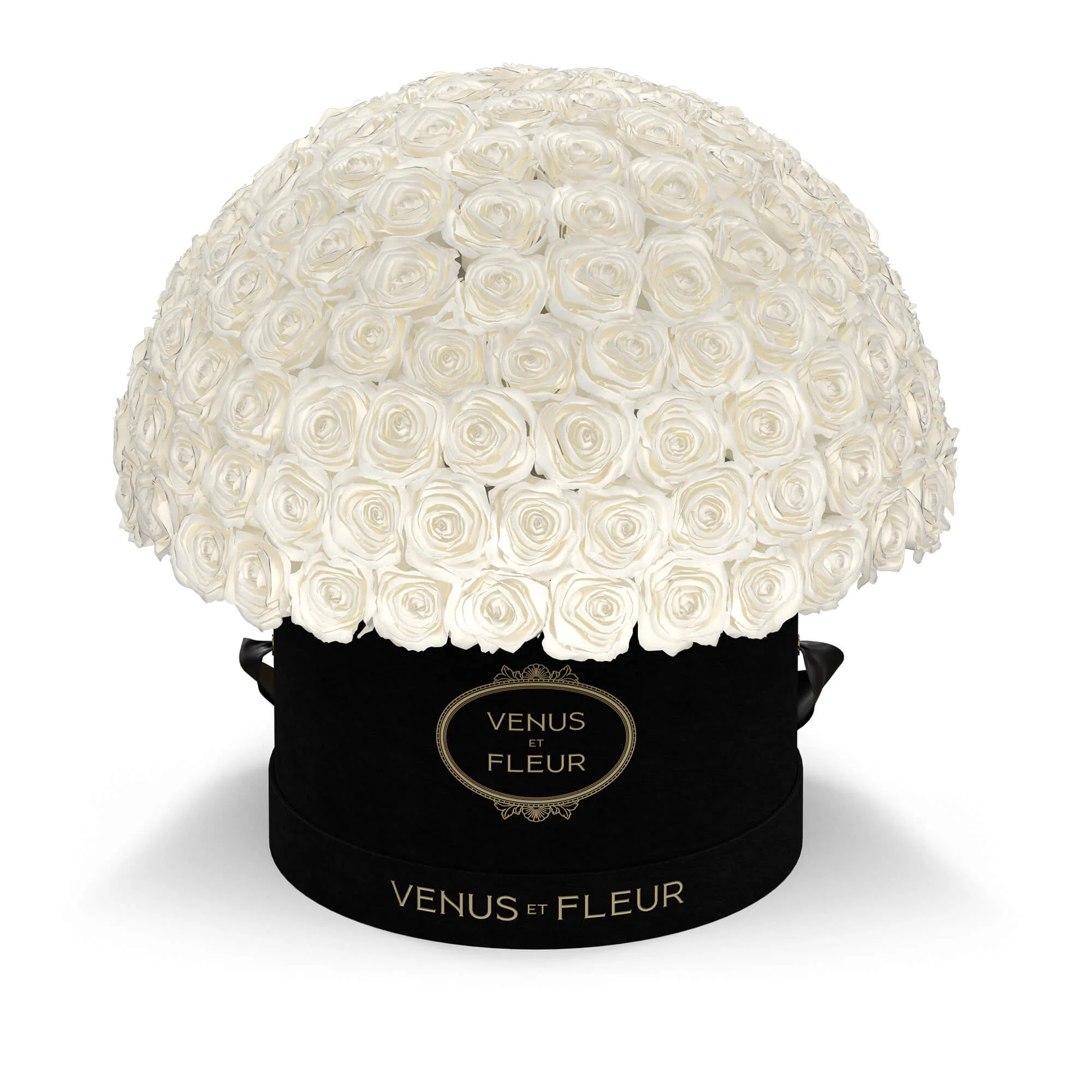 Large Le Plein - Mearch