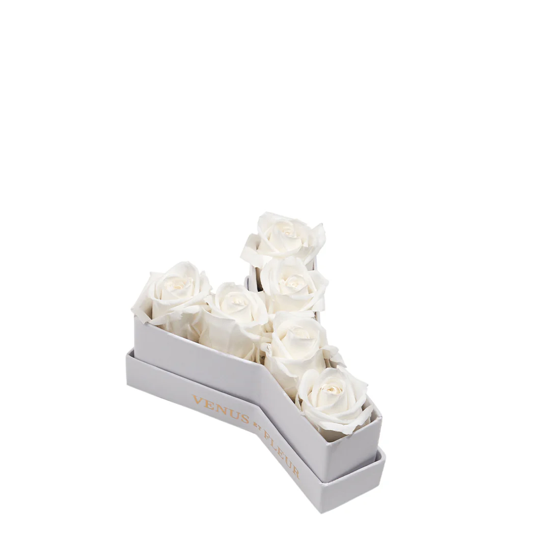 Le Mini Letter - Y - Mearch