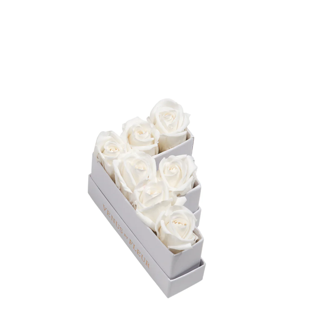 Le Mini Letter - F - Mearch