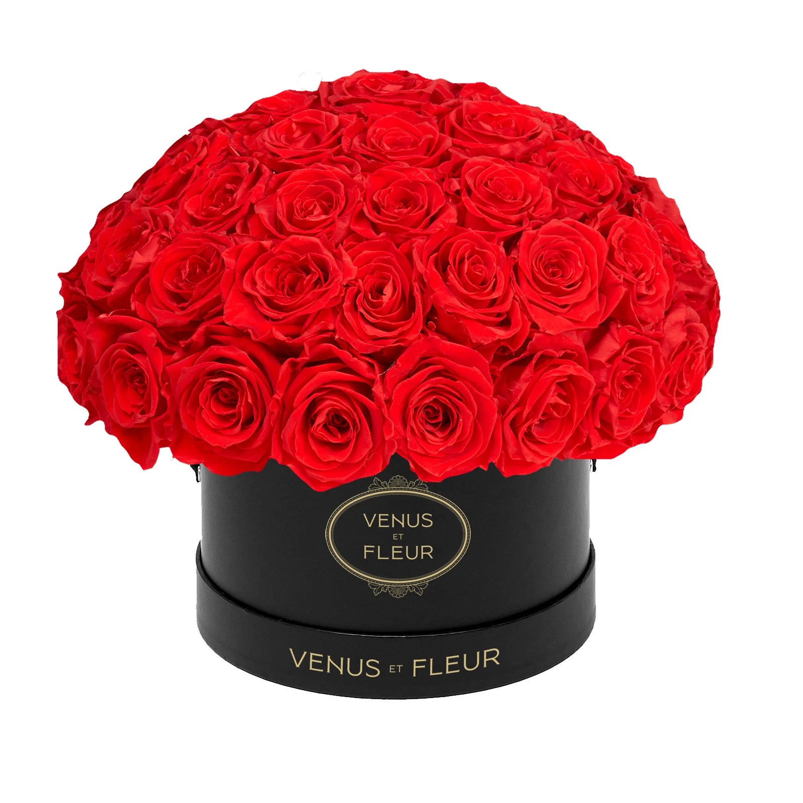 Small Le Plein - Mearch