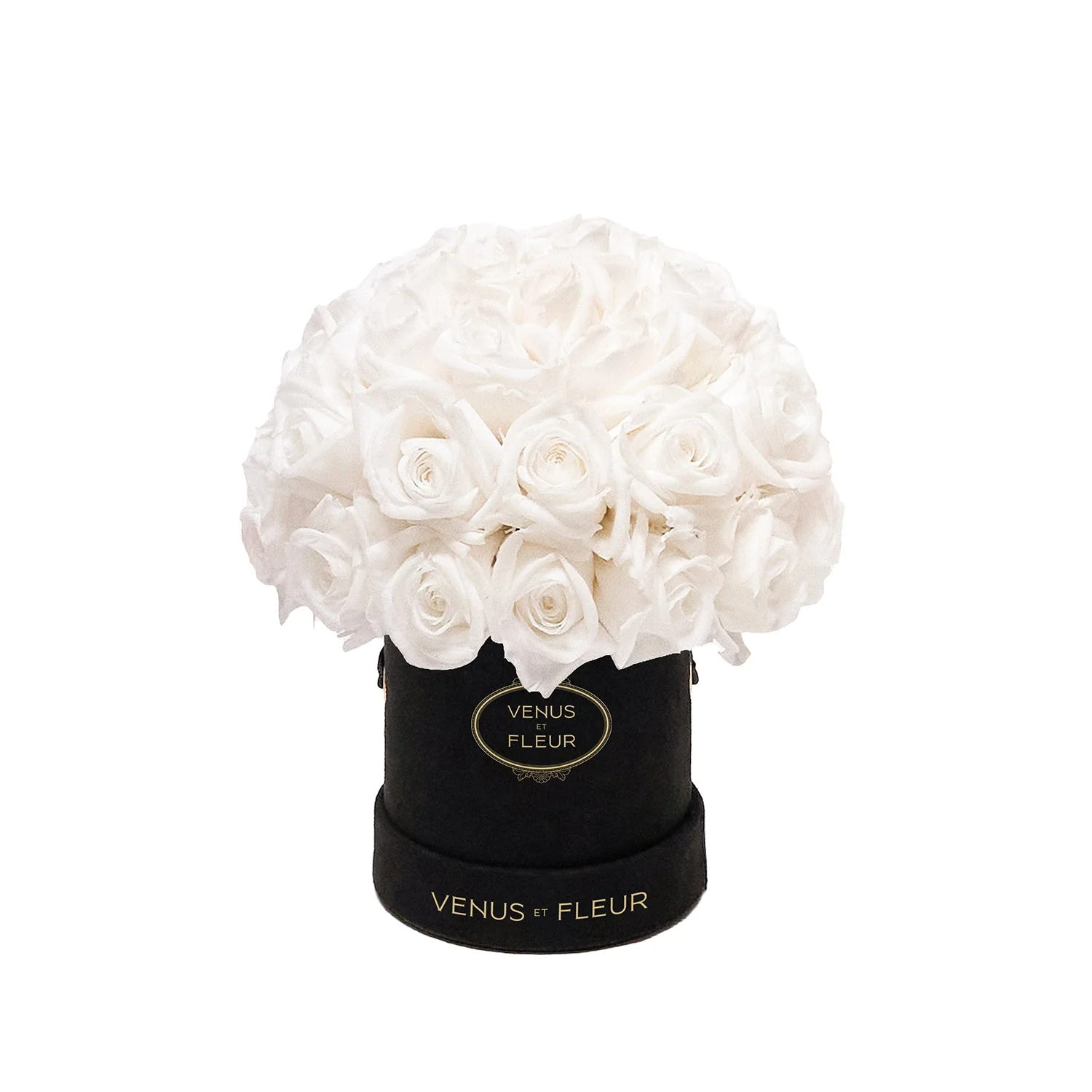 Mini Le Plein - Mearch