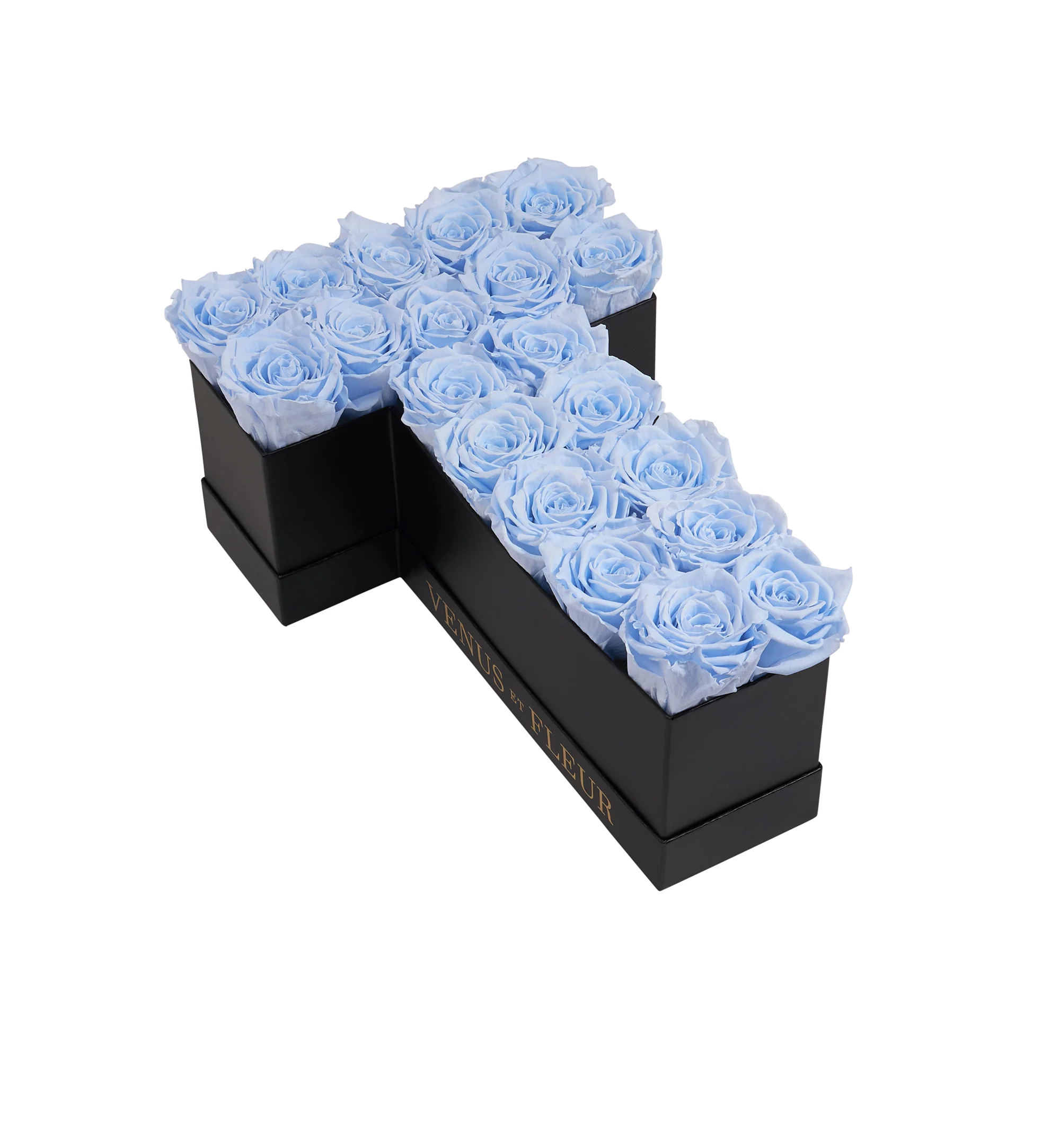 Le Grand Letter - T - Mearch