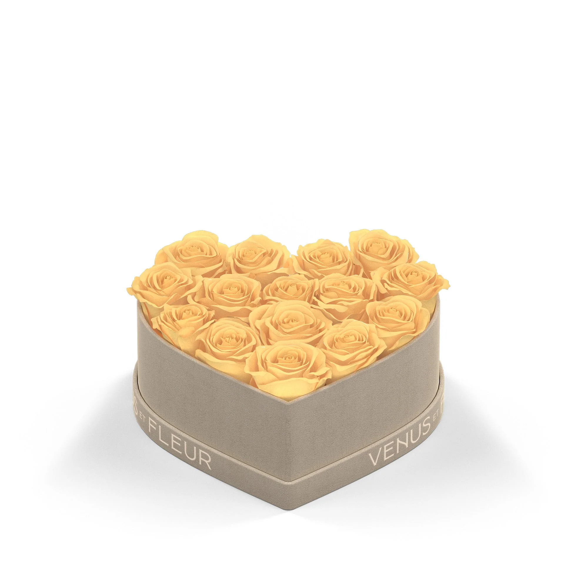 Small Heart - Mearch