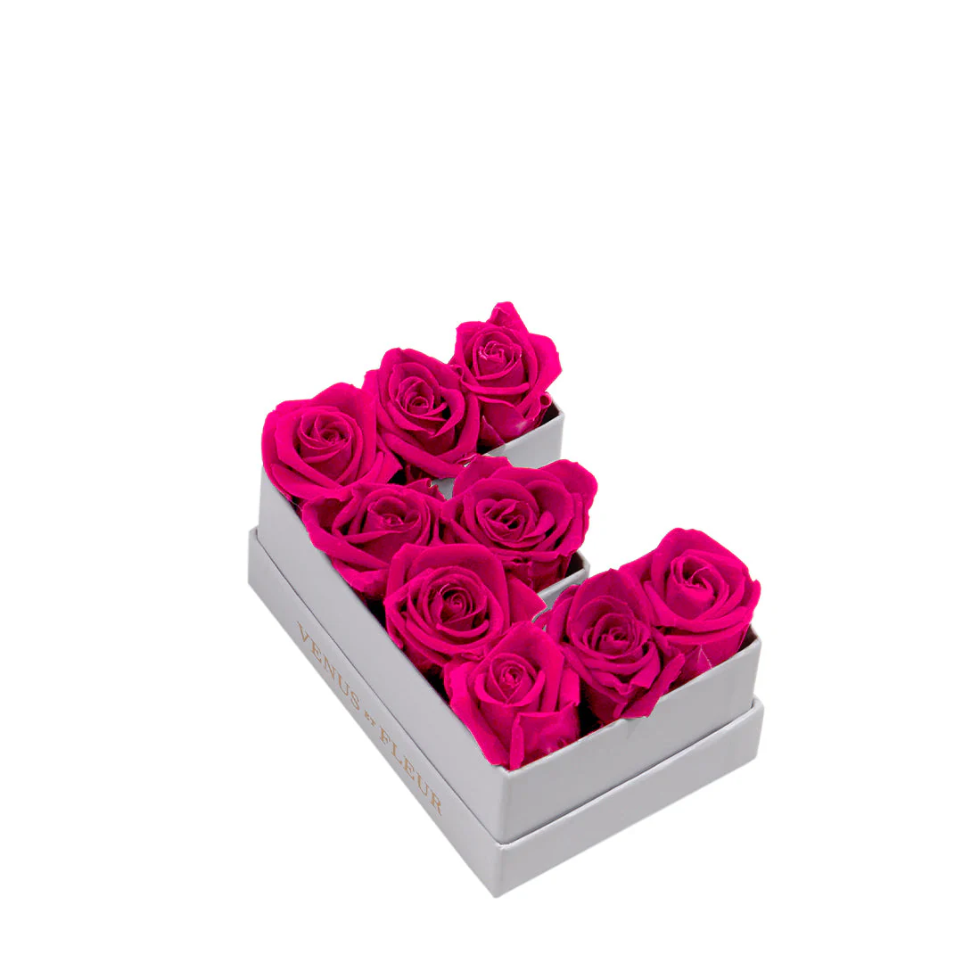 Le Mini Letter - E - Mearch