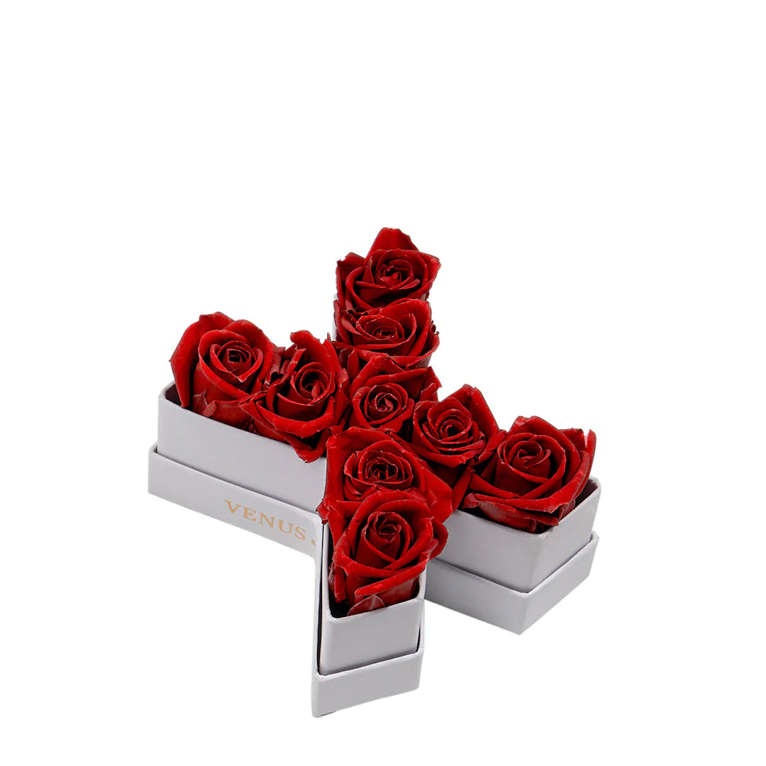 Le Mini Letter - X - Mearch