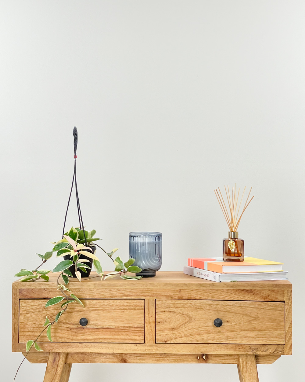 Hoya carnosa ‘Krimson Queen’, Wax Vine Plant