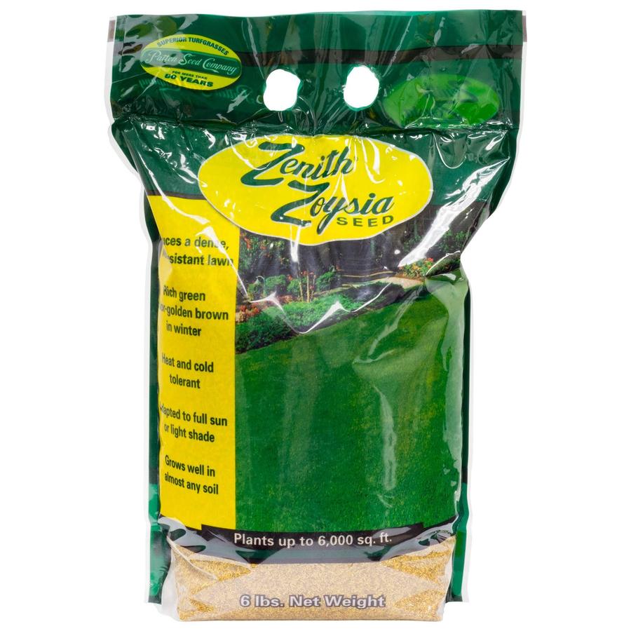 2025 6 lb Bag, Shade & Drought Tolerant, Covers 6,000 sq ft, Dark Green Medium Texture