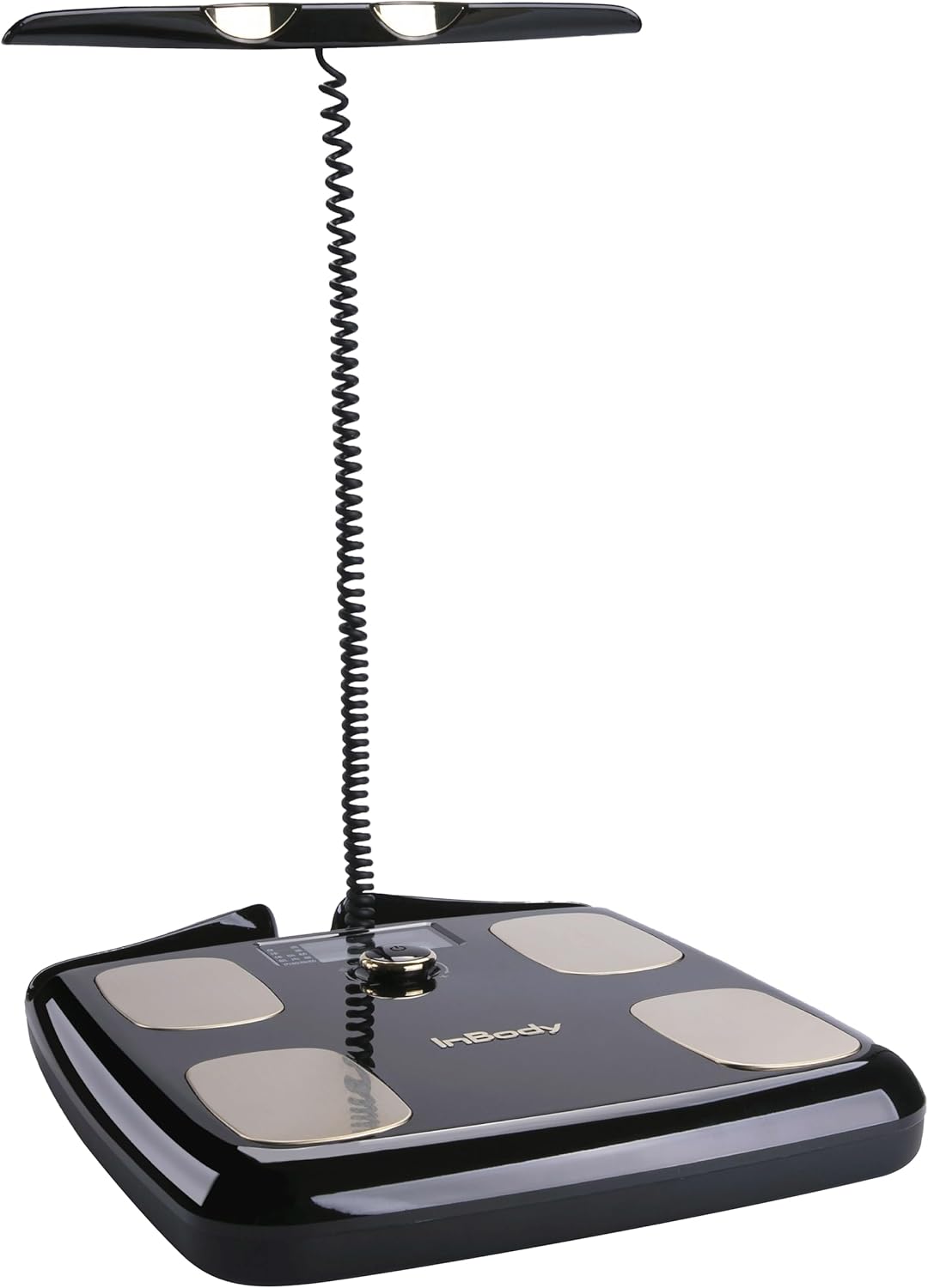2025 InBody scale for measuring weight, fat percentage and muscle mass, Bluetooth connection