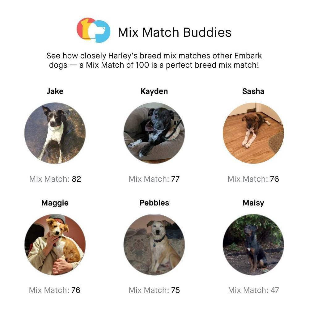 2025 Test Kit – Accurate Breed & Ancestry Identification, Includes Doggy Relative Finder