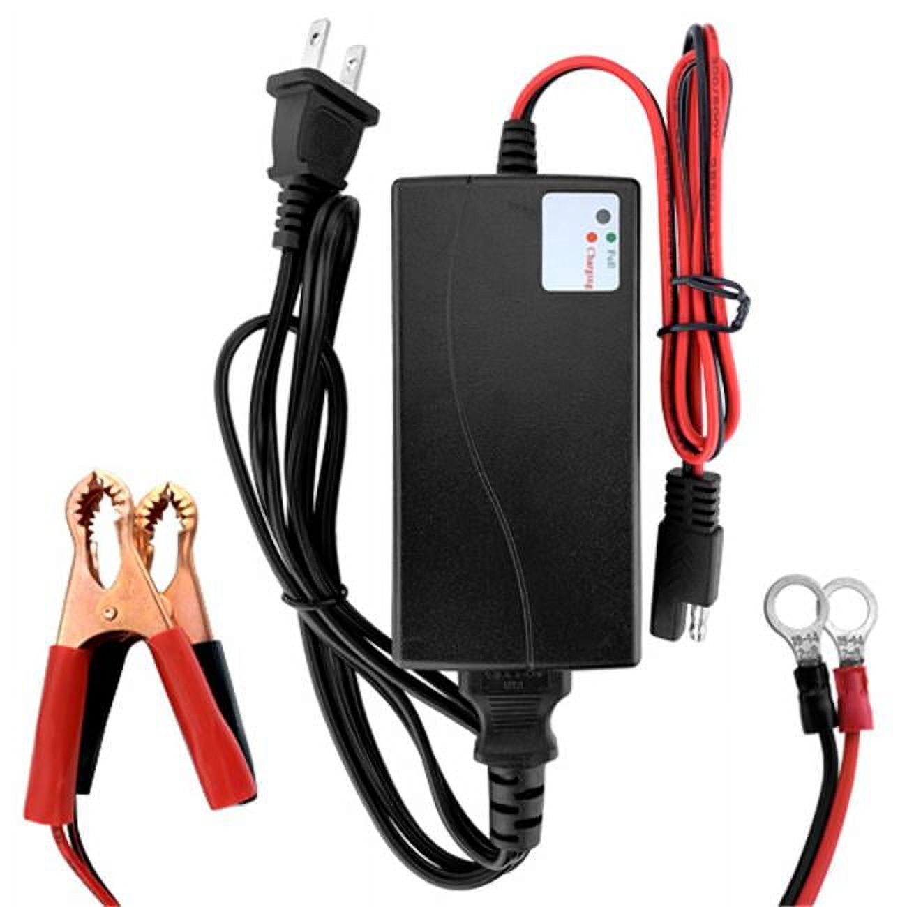 2025 12V Lithium Ion Battery Charger for Motorcycle