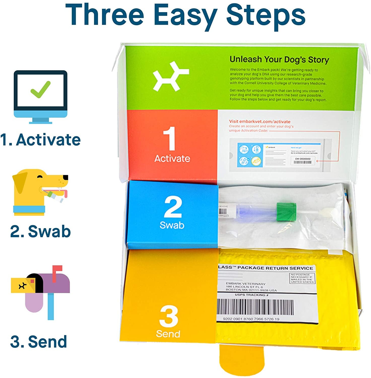2025 Test Kit – Accurate Breed & Ancestry Identification, Includes Doggy Relative Finder