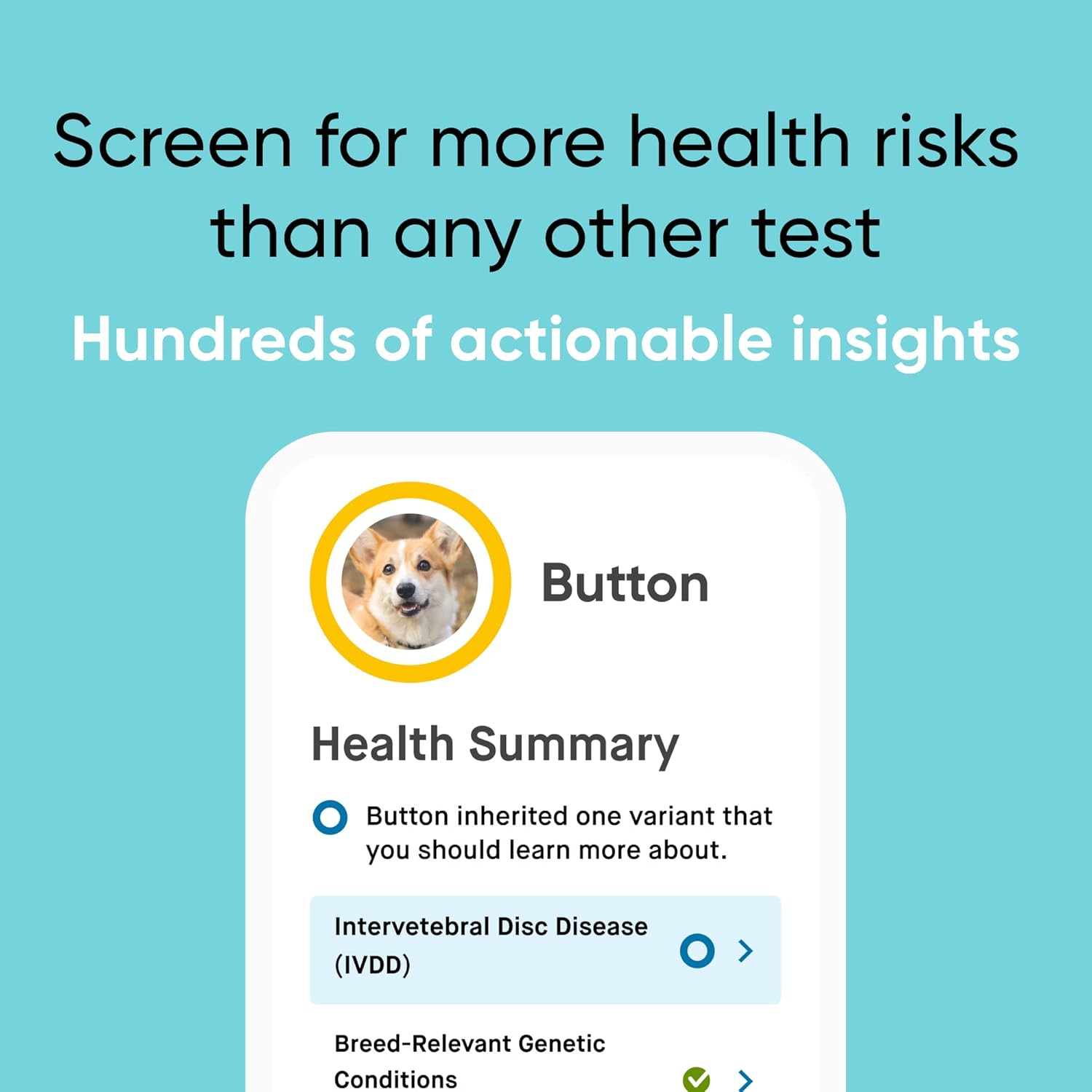 2025 Embark Breed & Health Kit - Dog DNA Test - Discover Breed, Ancestry, Relative Finder, Genetic Health, Traits, COI