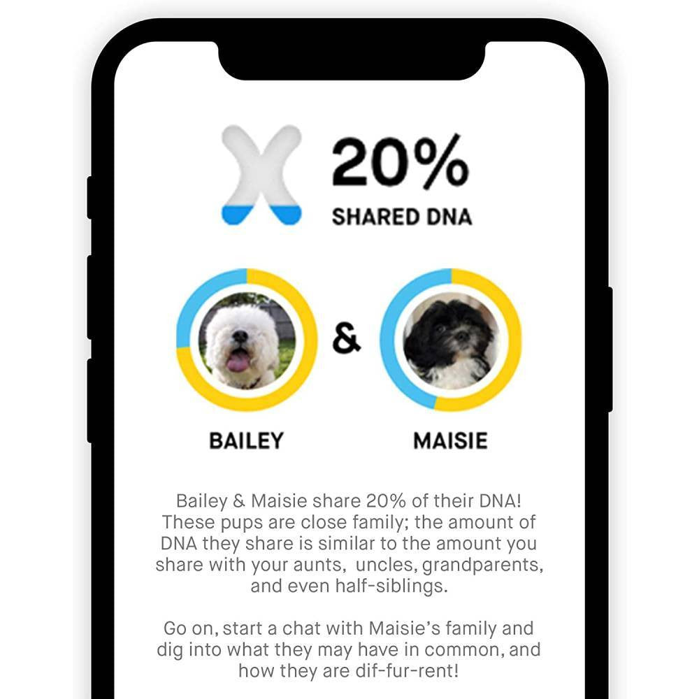 2025 Test Kit – Accurate Breed & Ancestry Identification, Includes Doggy Relative Finder