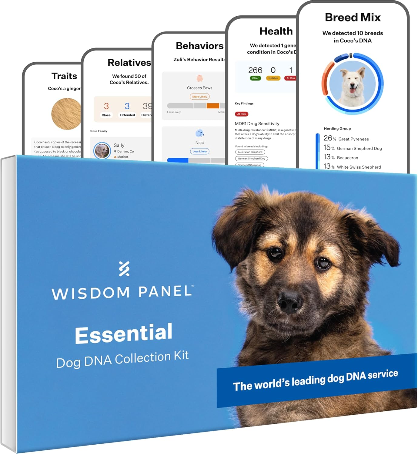2025 Panel Essential Dog DNA Kit: Most Accurate Test for 365+ Breeds, 30 Genetic Health Conditions, 50+ Traits, Relatives, Ancestry - 1 Pack
