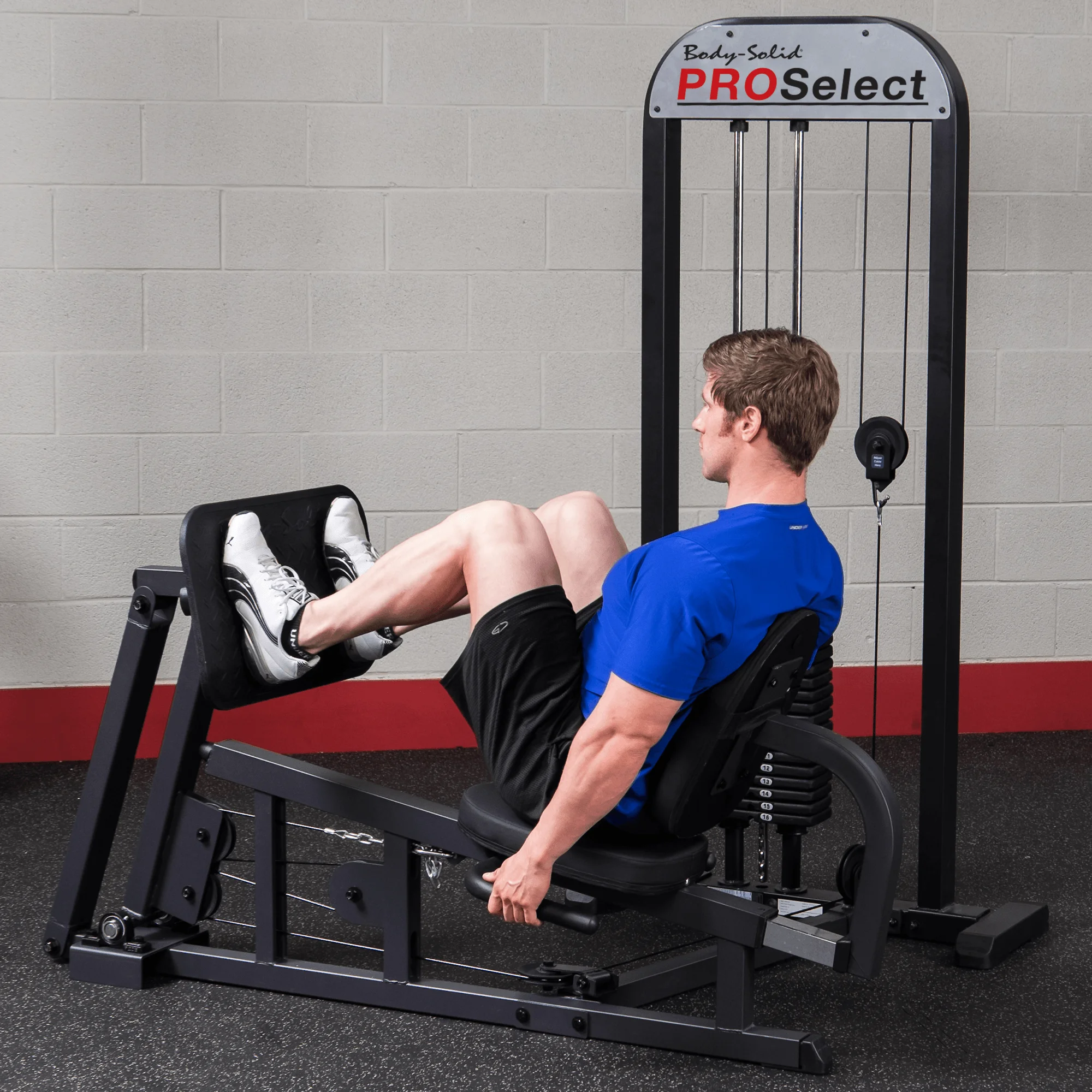2025 Pro-Select Leg Press with 310 Weight Stack