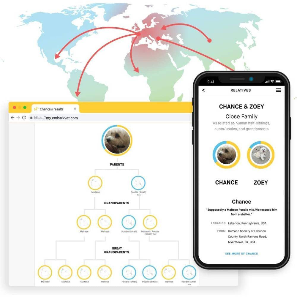 2025 Test Kit – Accurate Breed & Ancestry Identification, Includes Doggy Relative Finder