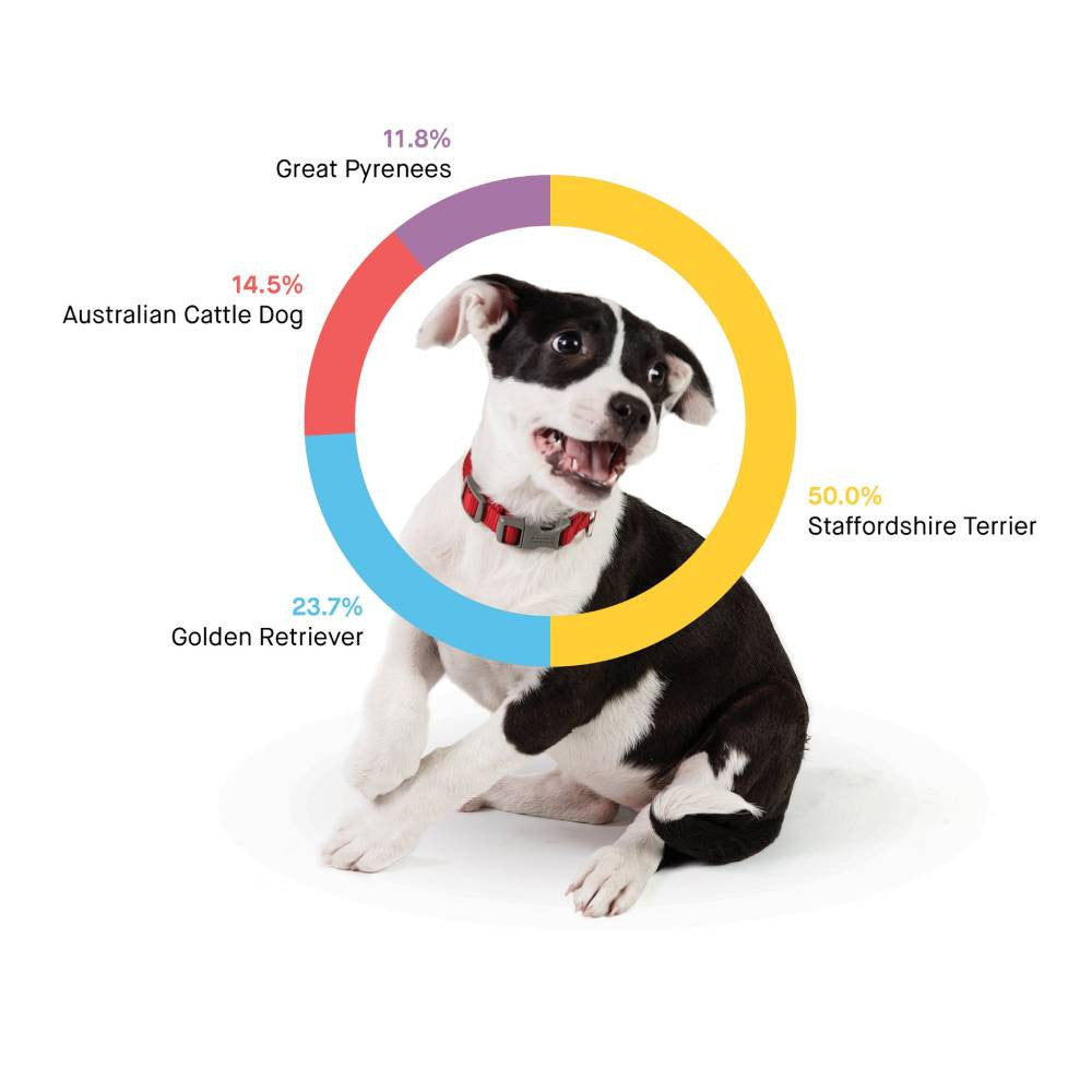 2025 Test Kit – Accurate Breed & Ancestry Identification, Includes Doggy Relative Finder