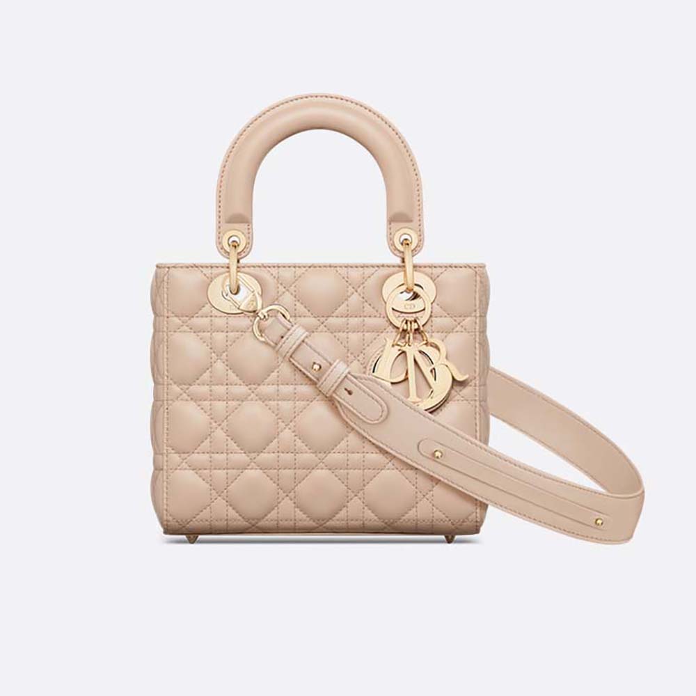 SMALL LADY DIOR BAG - LuxuryEva