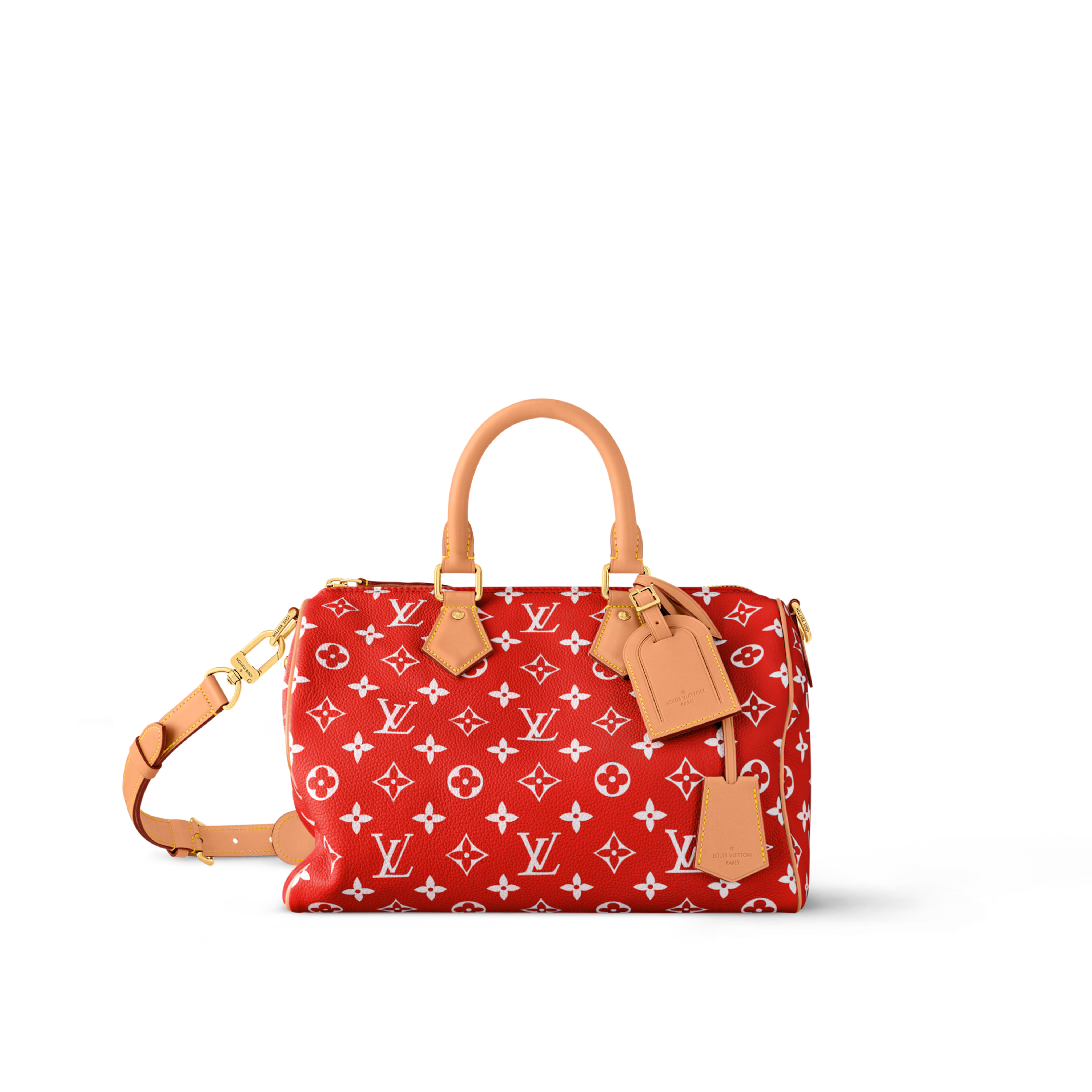 LV Speedy P9 Bandoulière 30 M14067 - LuxuryEva