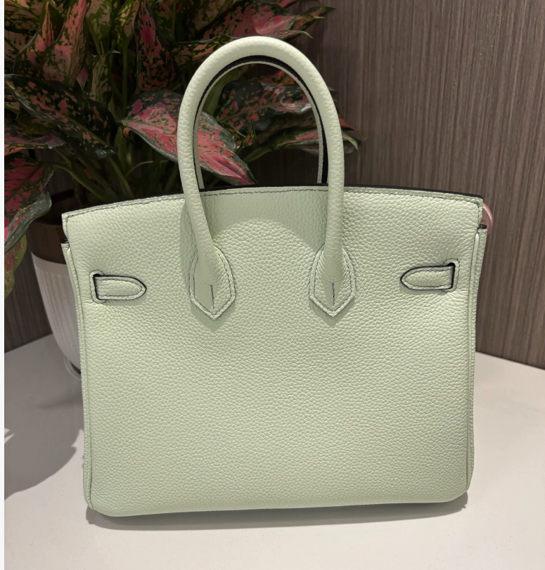 Hermes Birkin Sellier 25 Vert Fizz Epsom Palladium Hardware - LuxuryEva