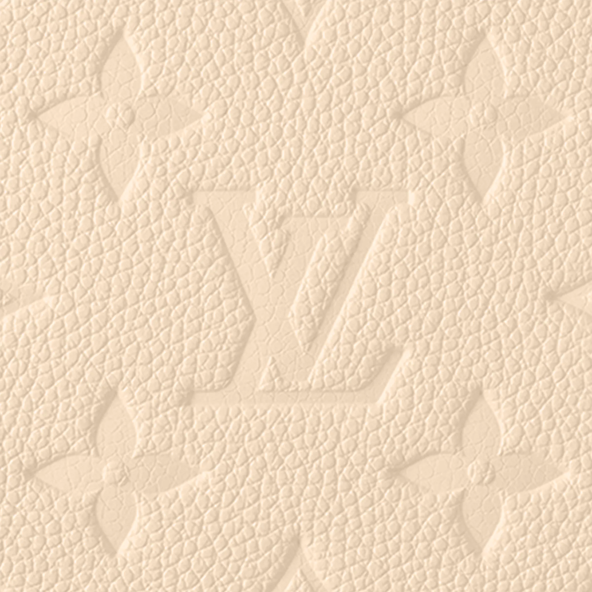 Easy Pouch On Strap - LuxuryEva