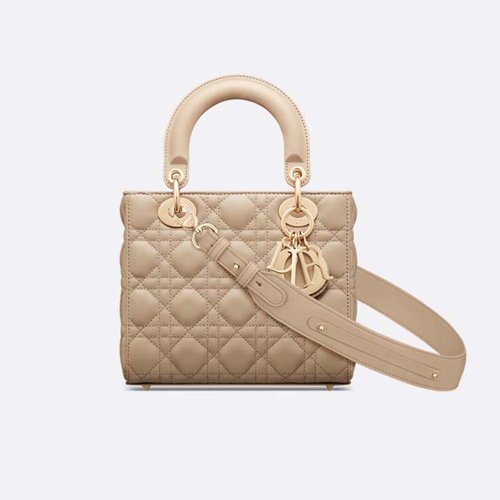SMALL LADY DIOR BAG - LuxuryEva