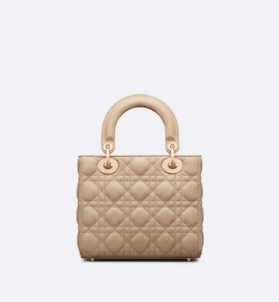 SMALL LADY DIOR BAG - LuxuryEva