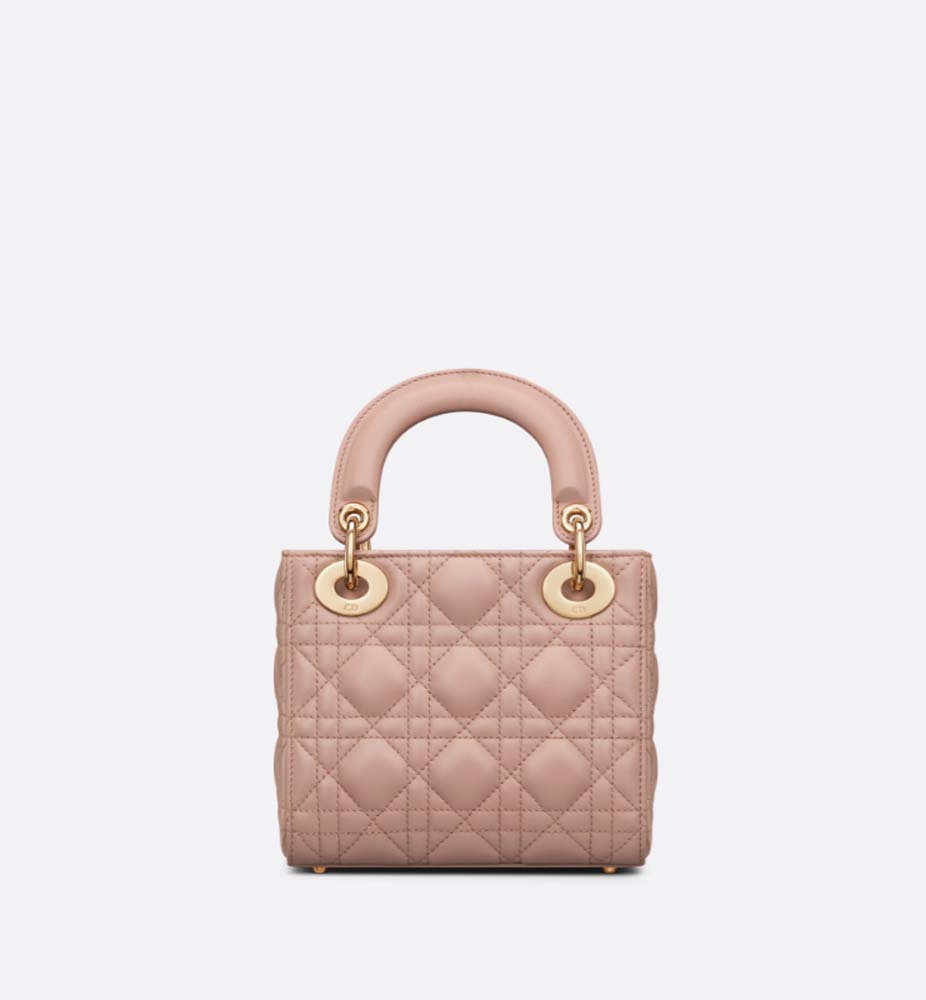 MINI LADY DIOR BAG - LuxuryEva