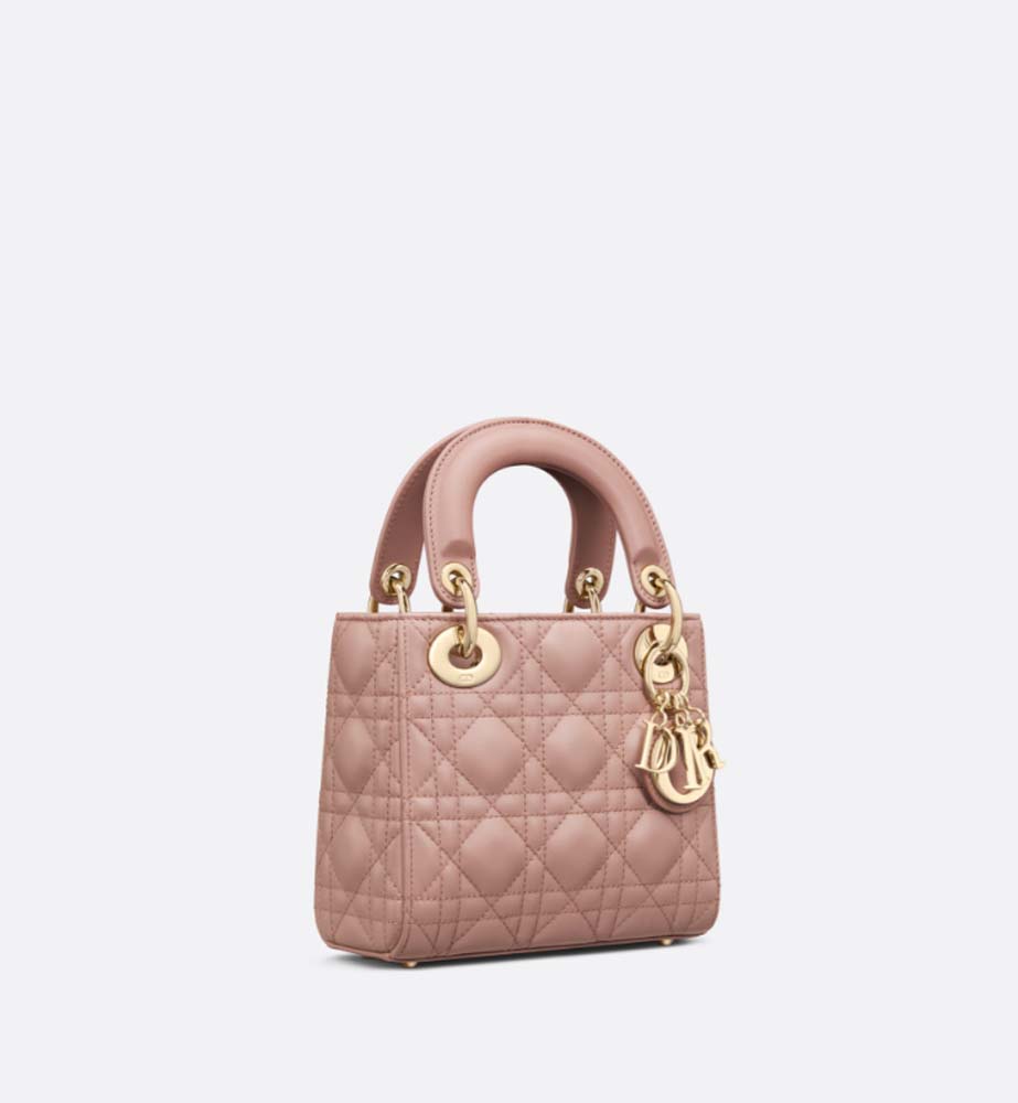 MINI LADY DIOR BAG - LuxuryEva