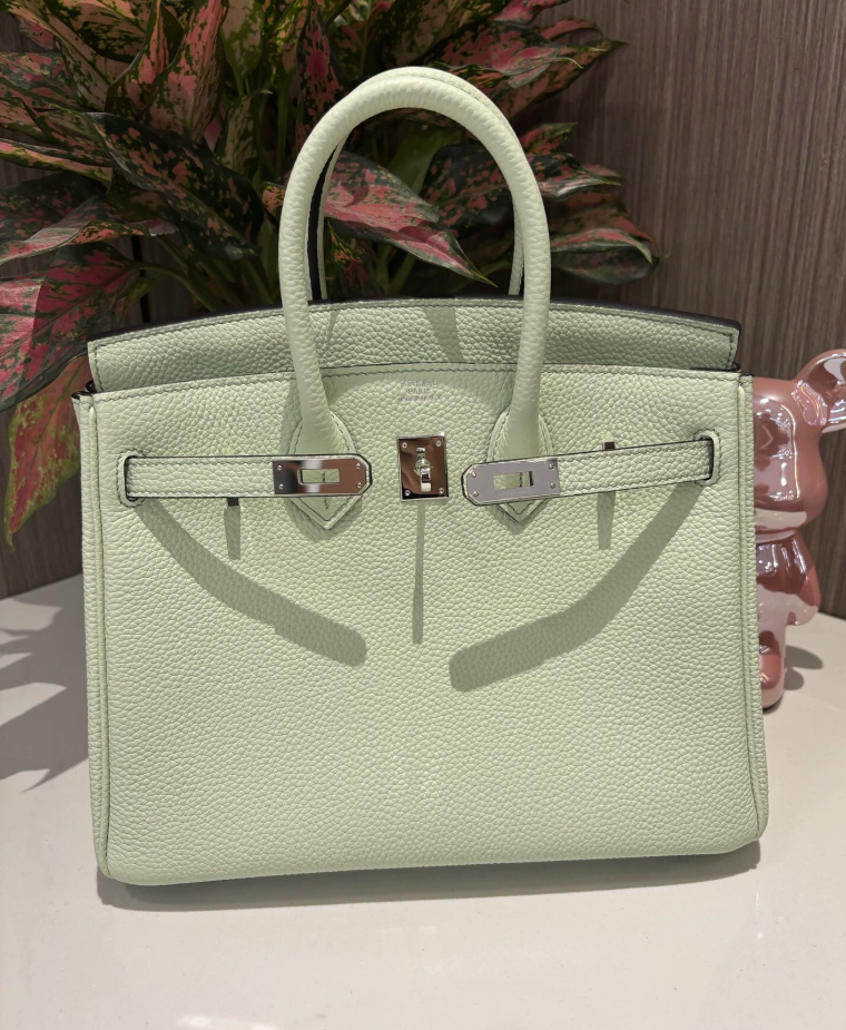 Hermes Birkin Sellier 25 Vert Fizz Epsom Palladium Hardware - LuxuryEva