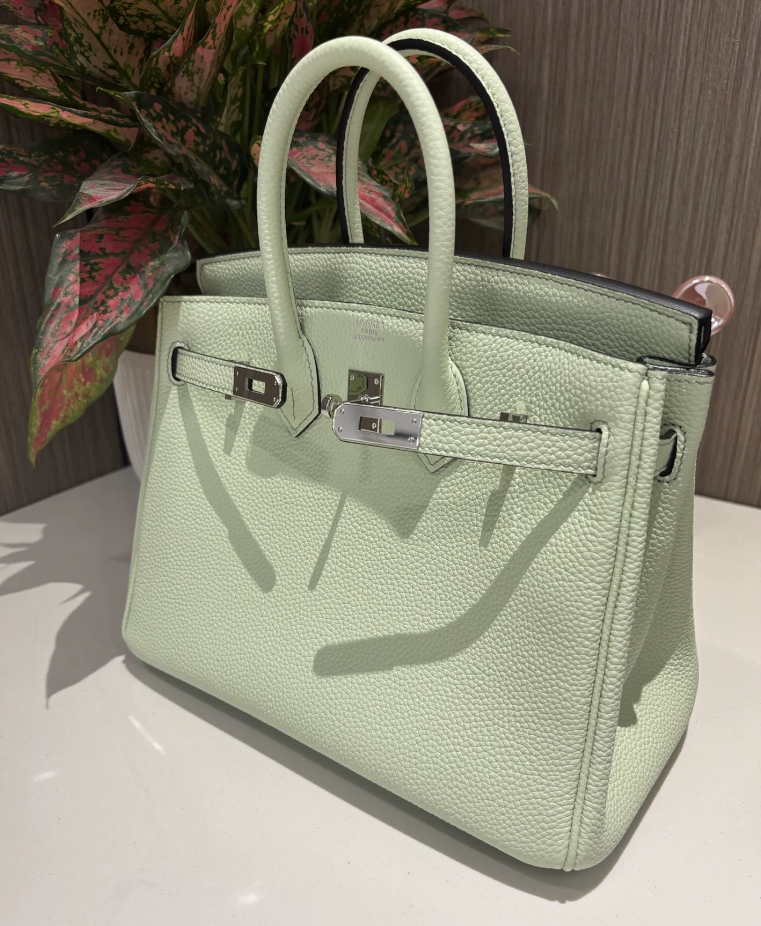 Hermes Birkin Sellier 25 Vert Fizz Epsom Palladium Hardware - LuxuryEva