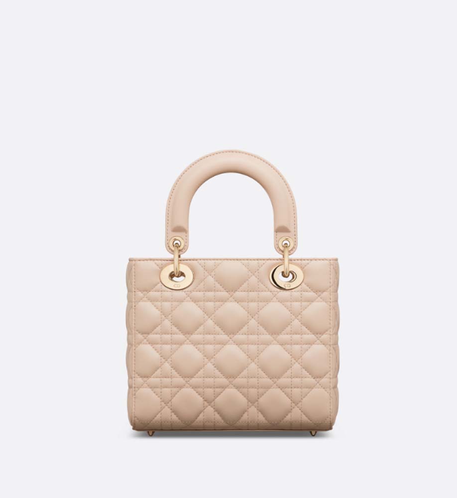 SMALL LADY DIOR BAG - LuxuryEva
