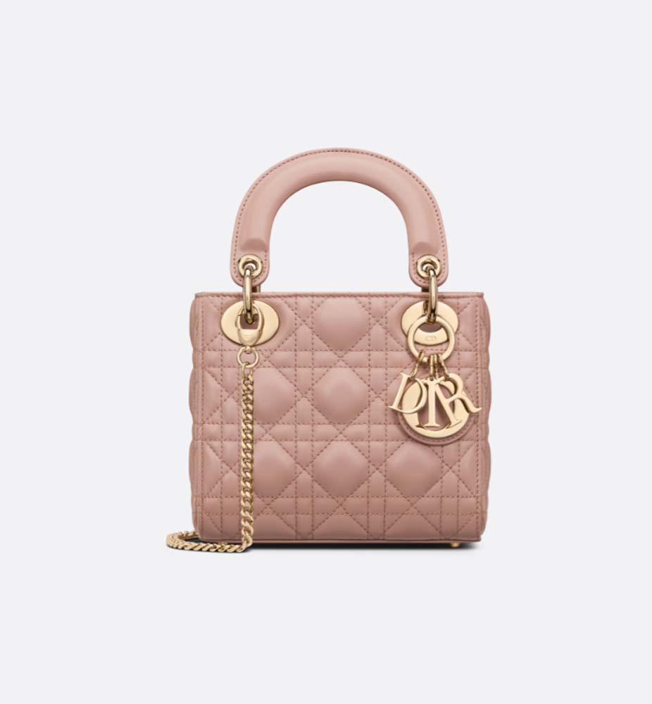 MINI LADY DIOR BAG - LuxuryEva