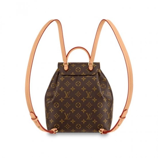 Louis Vuitton M45501 Montsouris PM - LuxuryEva