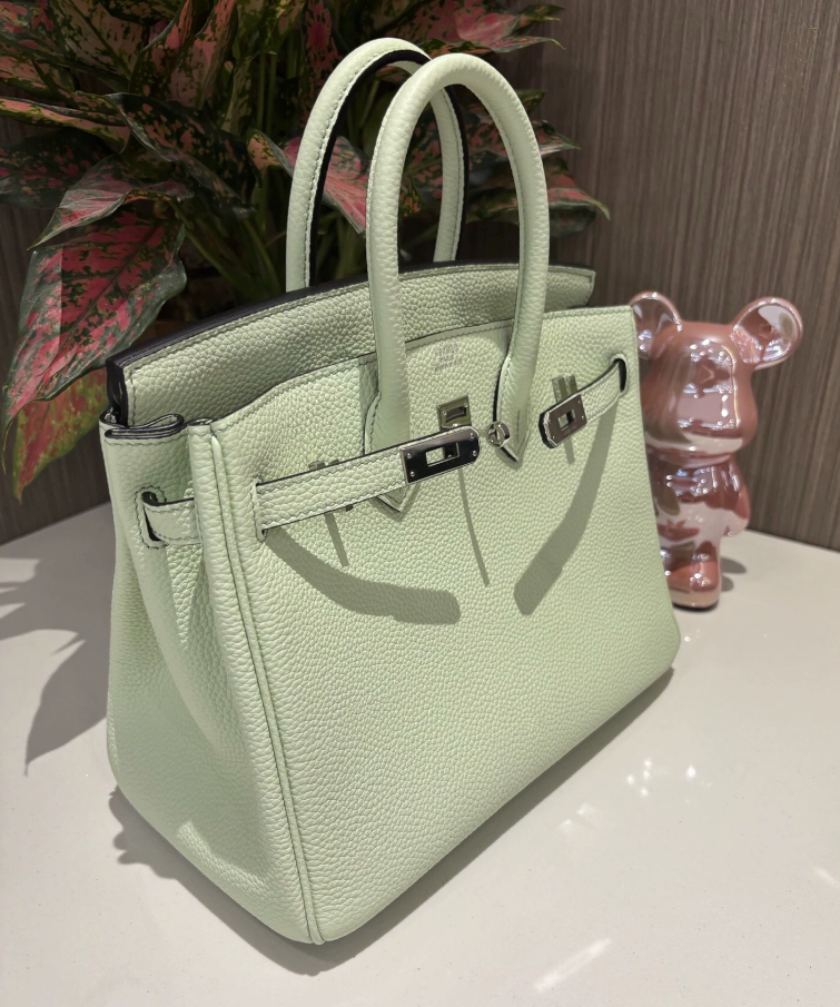 Hermes Birkin Sellier 25 Vert Fizz Epsom Palladium Hardware - LuxuryEva